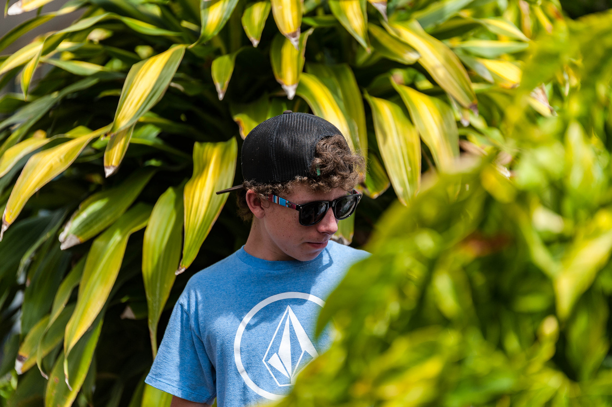 Tamron SP 70-200mm F2.8 Di VC USD sample photo. The cool kid in town photography