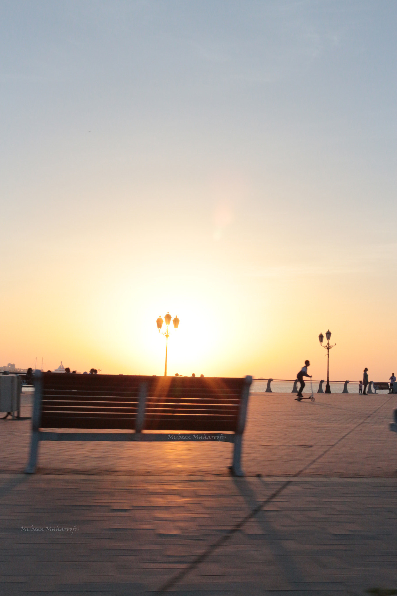 Canon EOS 650D (EOS Rebel T4i / EOS Kiss X6i) sample photo. Shining bright photography
