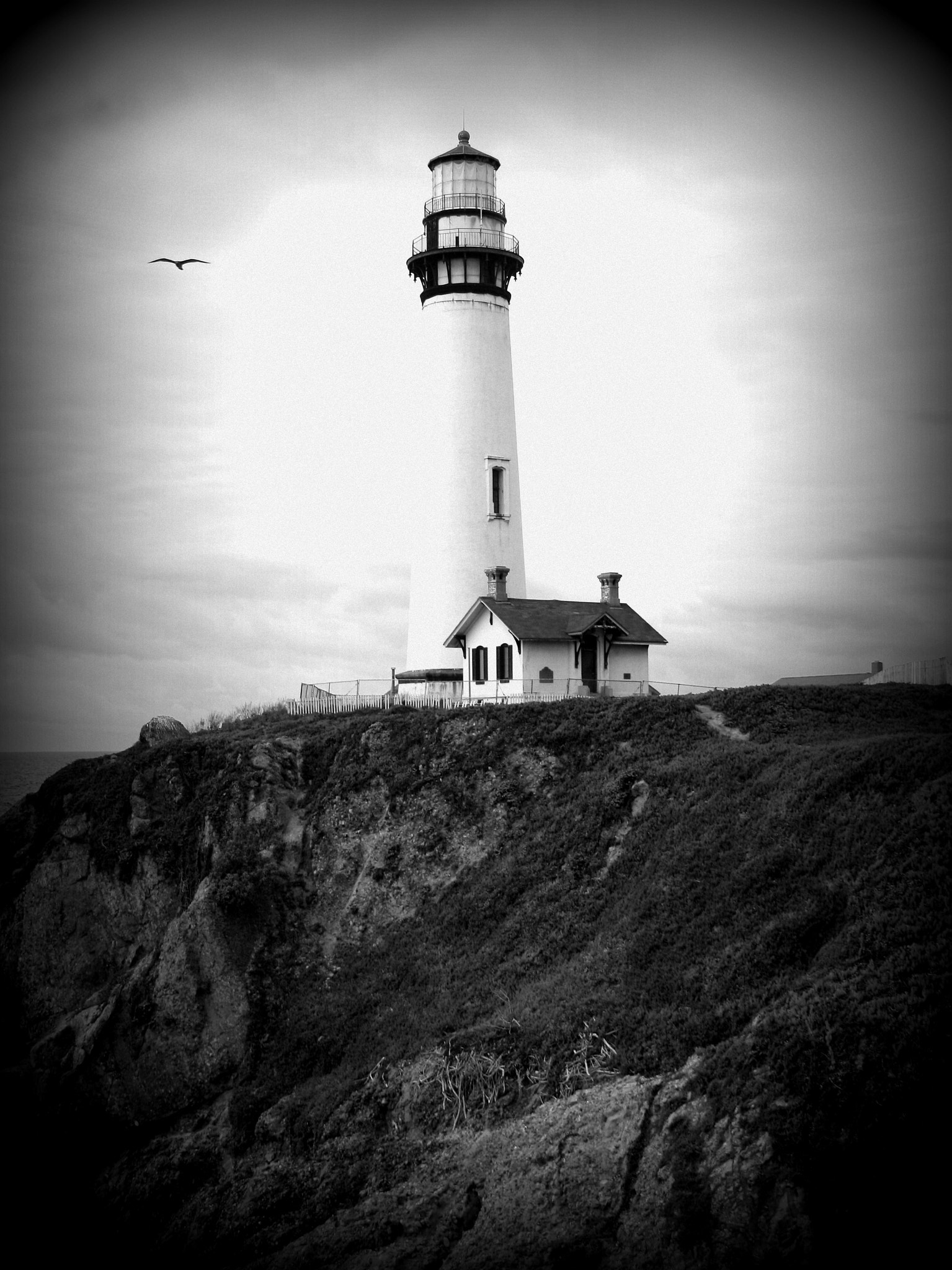 Canon EOS 400D (EOS Digital Rebel XTi / EOS Kiss Digital X) sample photo. Pigeon point lighthouse photography