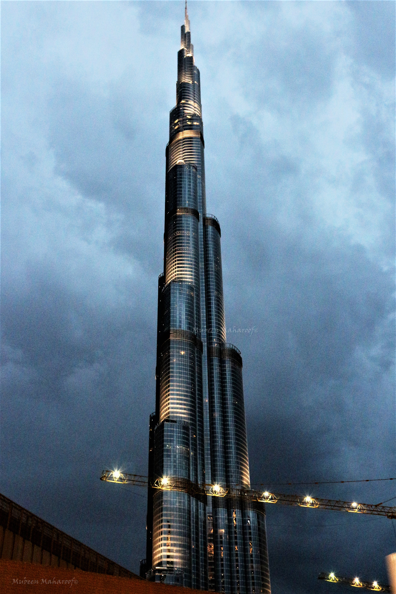 Canon EOS 650D (EOS Rebel T4i / EOS Kiss X6i) sample photo. Standing tall photography