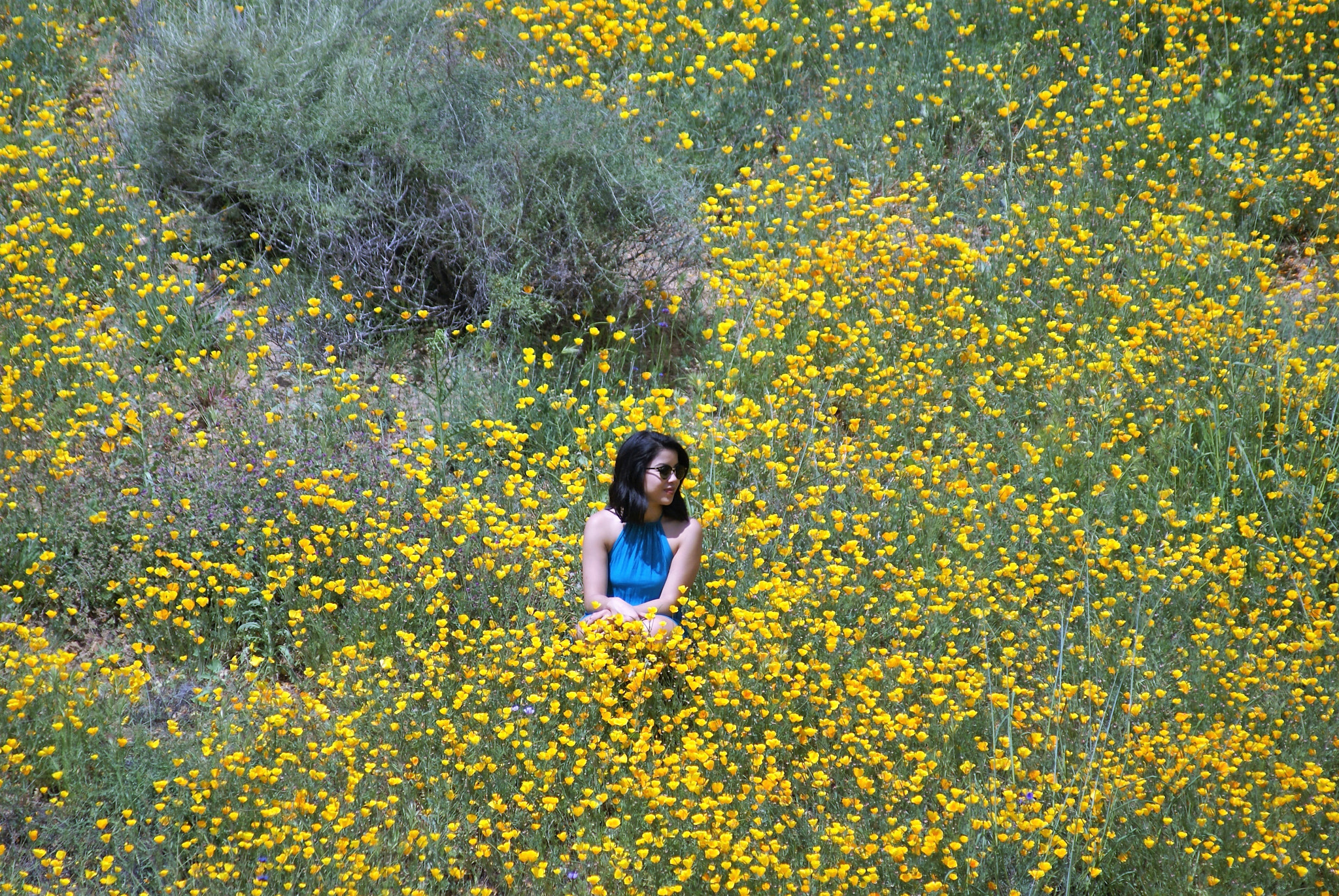 Sony 75-300mm F4.5-5.6 sample photo. Girl in flowers, walker canyon photography