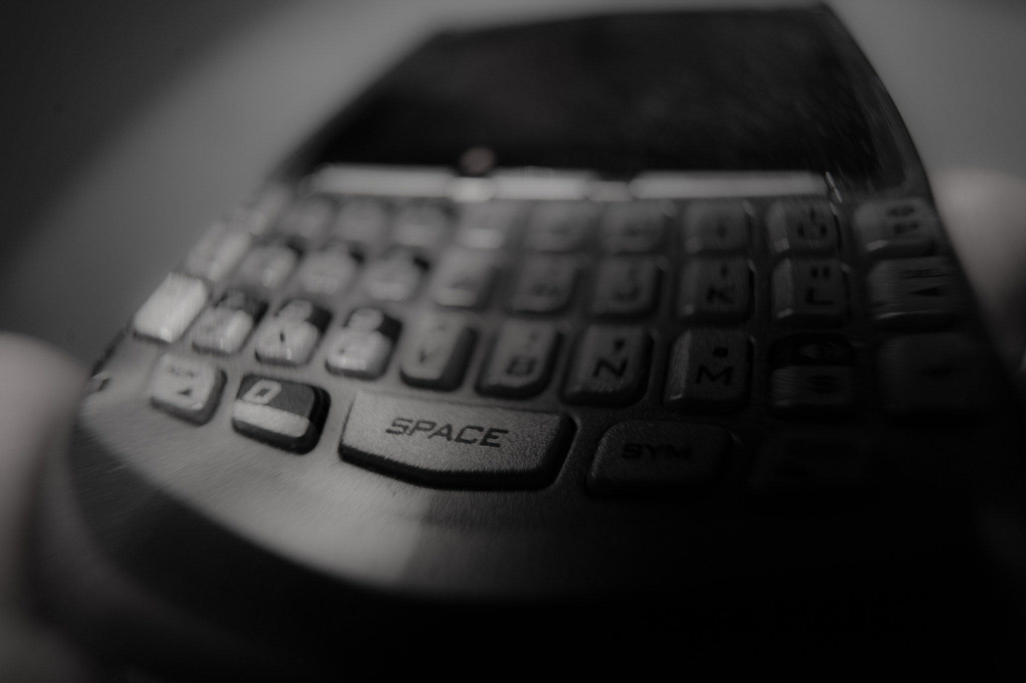 Sony a7 II sample photo. Blackberry photography
