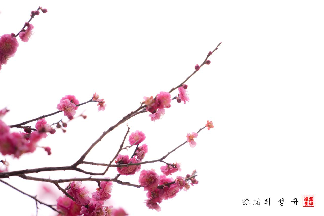 Sony a7 + Sony FE 70-200mm F4 G OSS sample photo