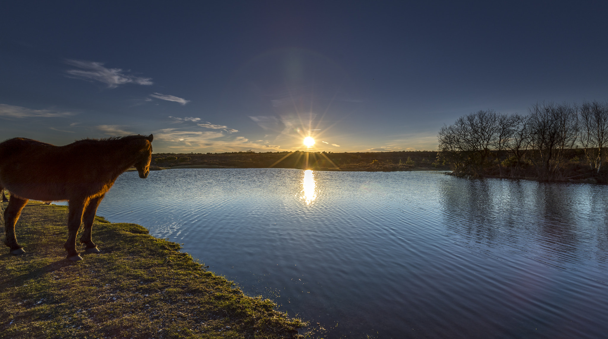 Canon EF 16-35mm F2.8L II USM sample photo. Sharing the sunset photography