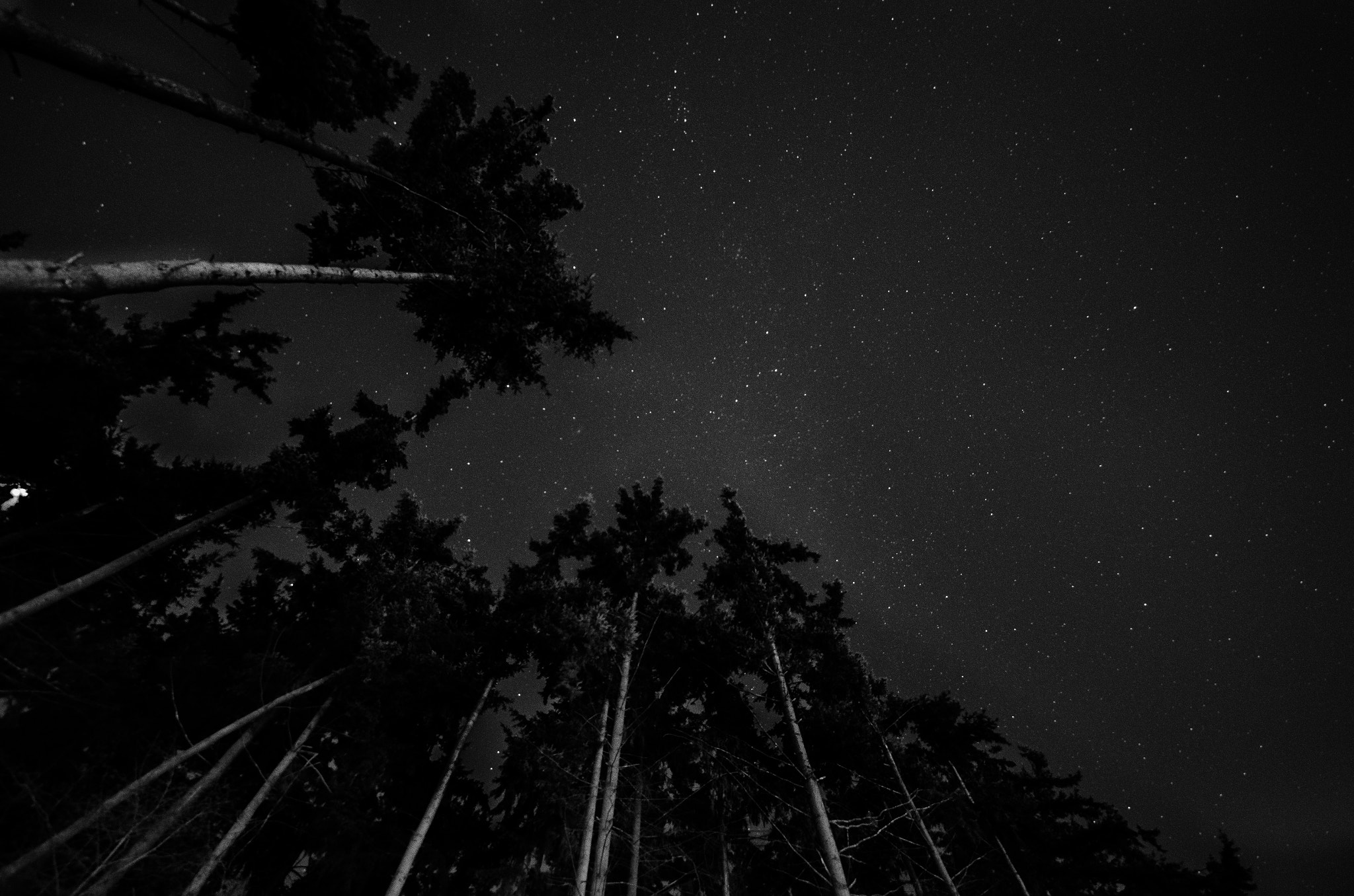 Nikon D5100 + Samyang 14mm F2.8 ED AS IF UMC sample photo. Night sky in the city photography