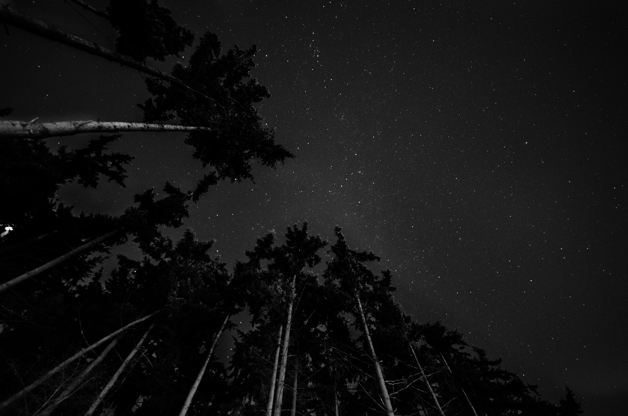 Samyang 14mm F2.8 ED AS IF UMC sample photo. Night sky in the city photography
