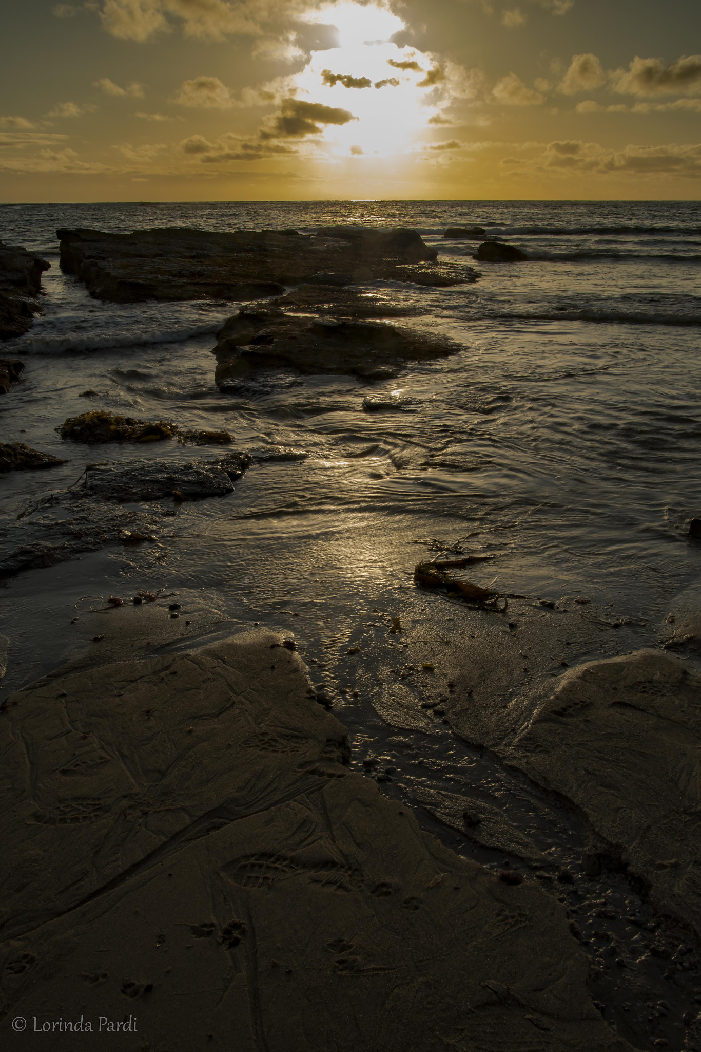 Nikon D500 sample photo. Footprints at sunset lp photography