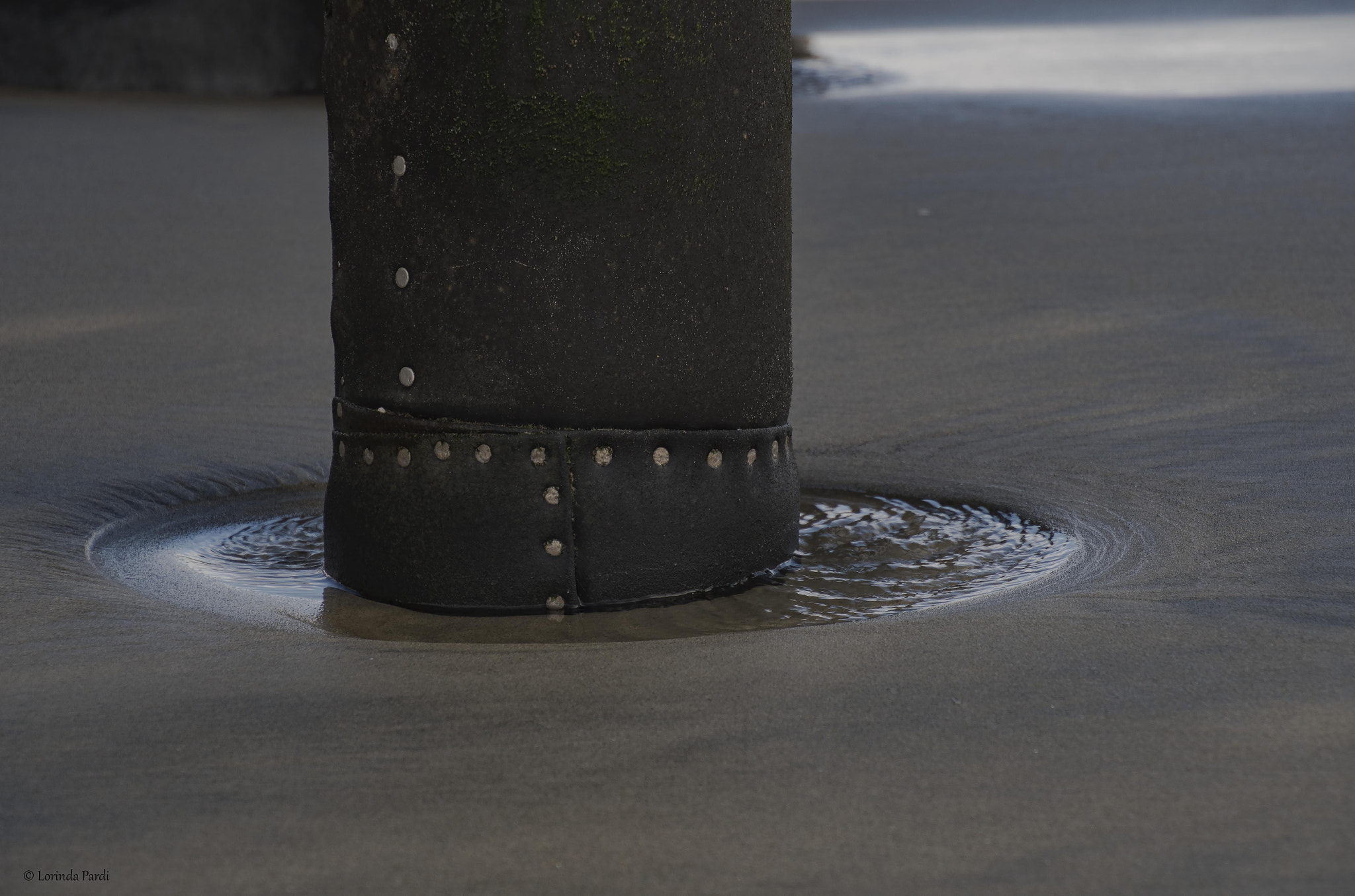 Nikon D500 sample photo. Oceanside pier pillar lp photography