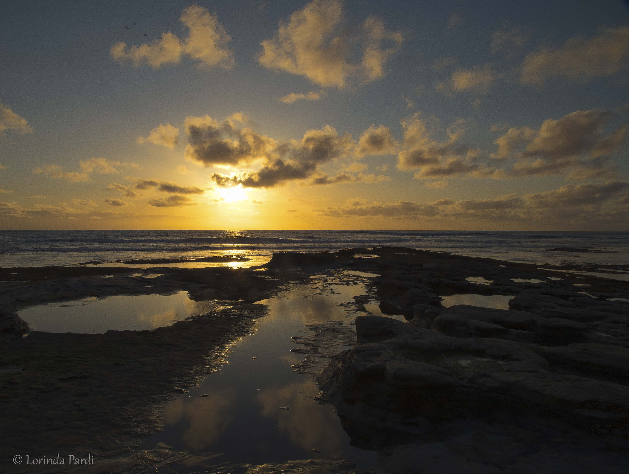 Nikon D500 sample photo. Peaceful lp photography