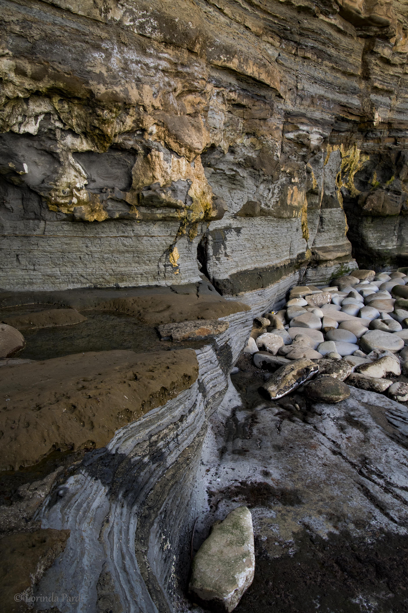 Nikon D500 sample photo. Ridges lp photography