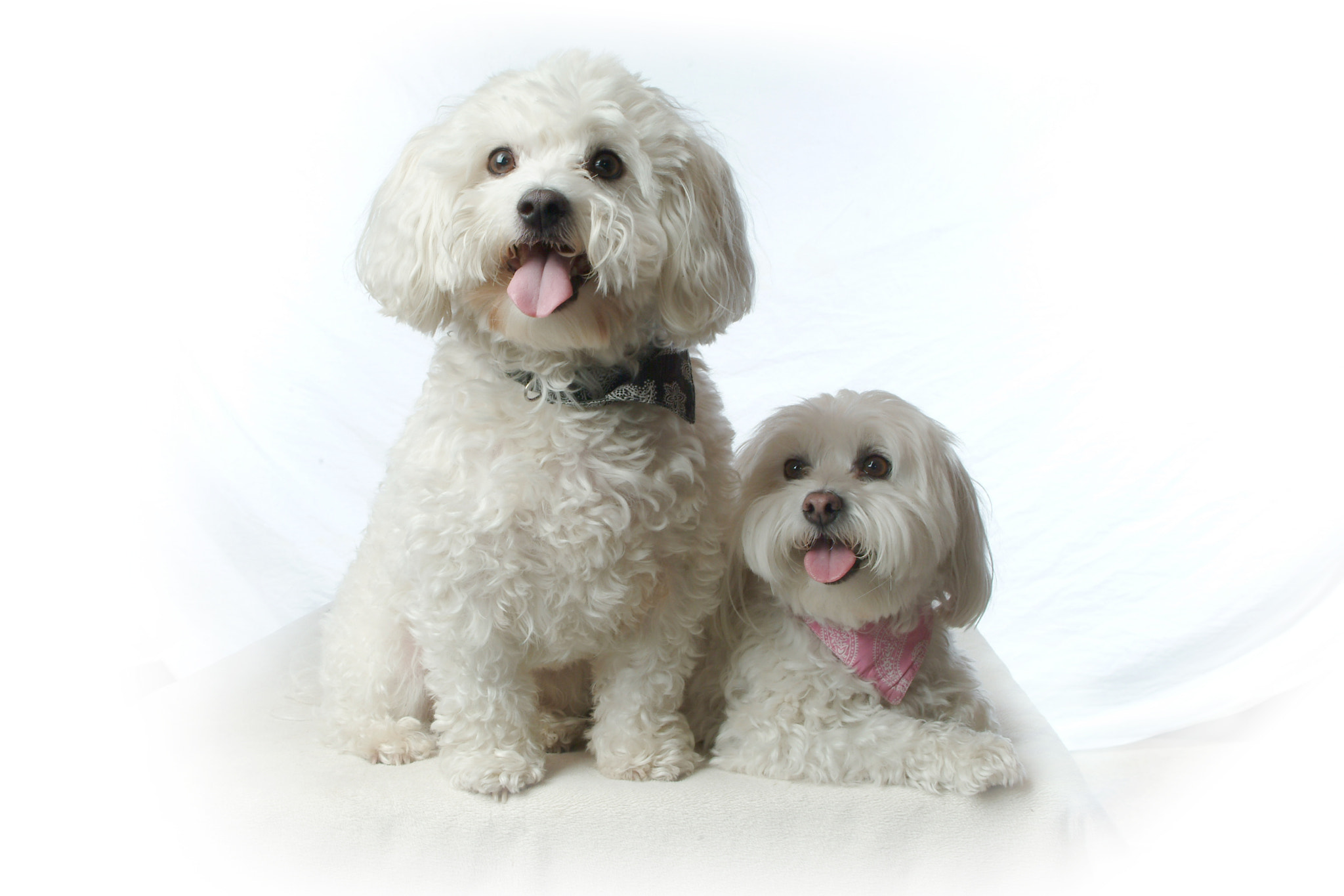 Fujifilm FinePix S2 Pro sample photo. High key photography