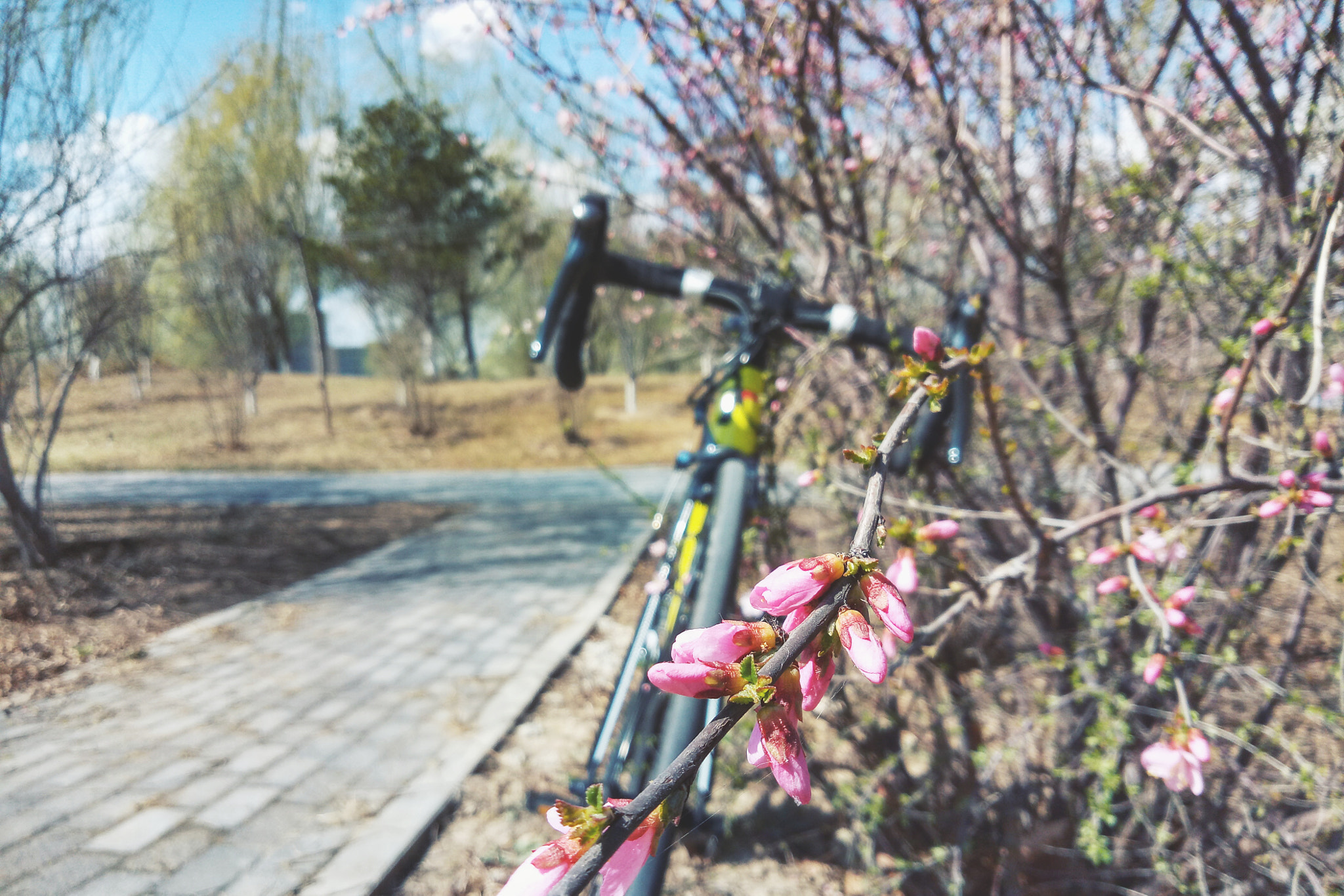 Meizu M5 Note sample photo. Spring,biking photography