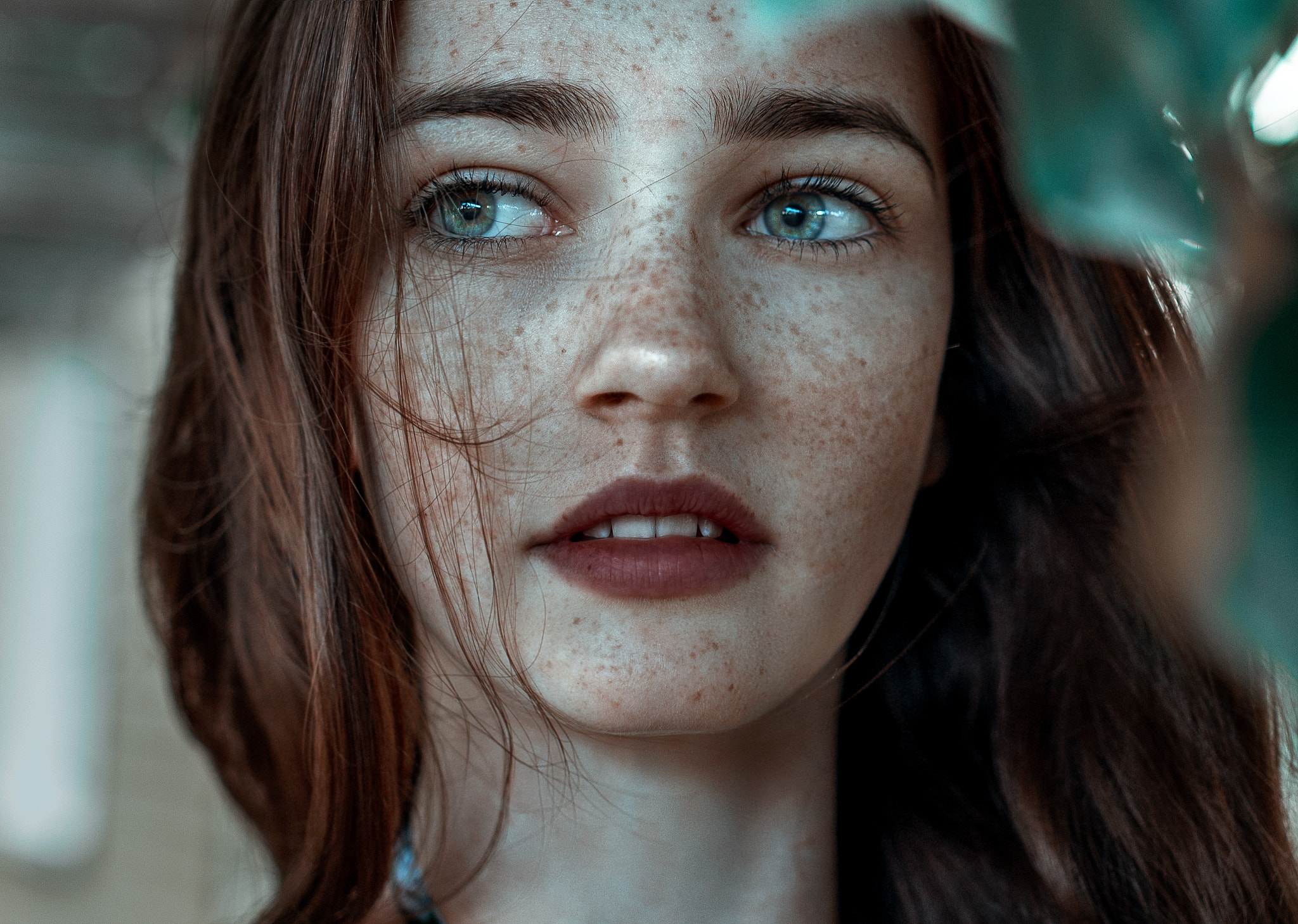 Nikon D610 + Sigma 35mm F1.4 DG HSM Art sample photo. Ashlin photography