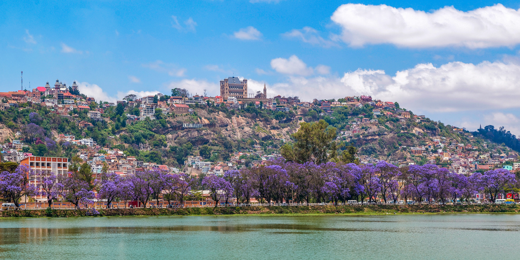 Tamron SP 24-70mm F2.8 Di VC USD sample photo. Jacaranda trees in antananarivo photography