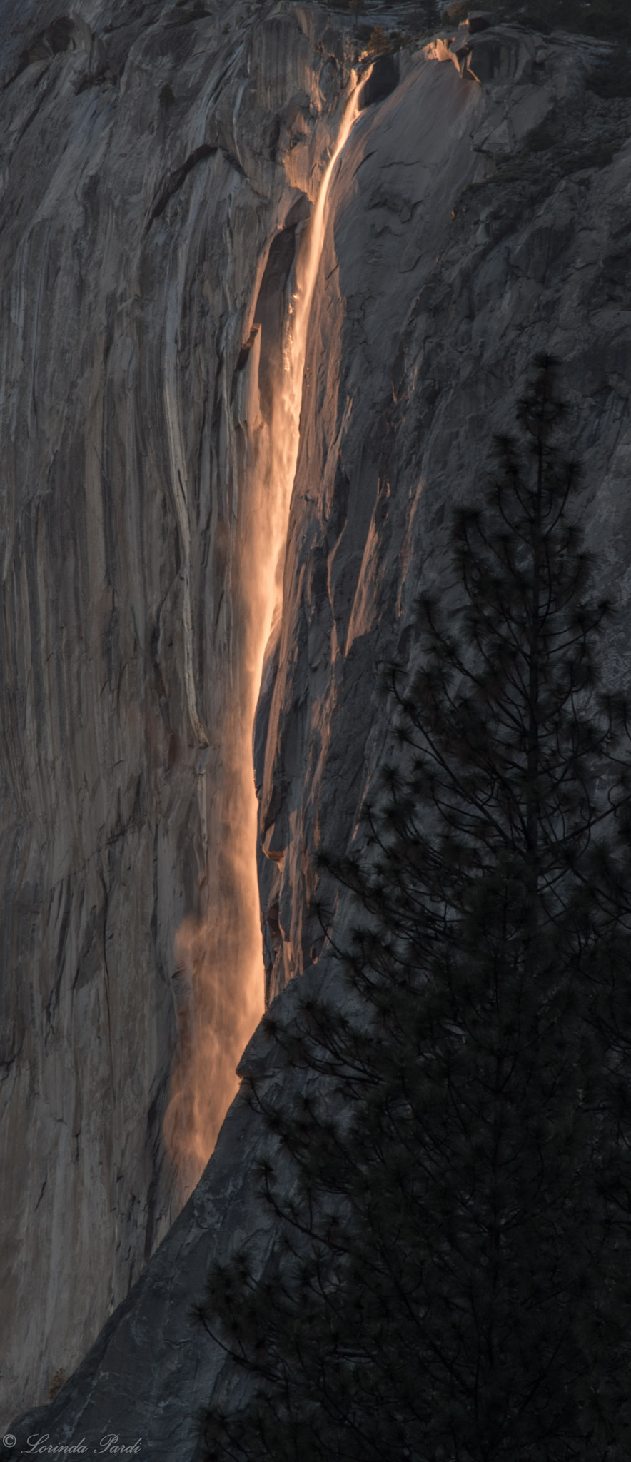 Nikon D5500 sample photo. Horsetail photography