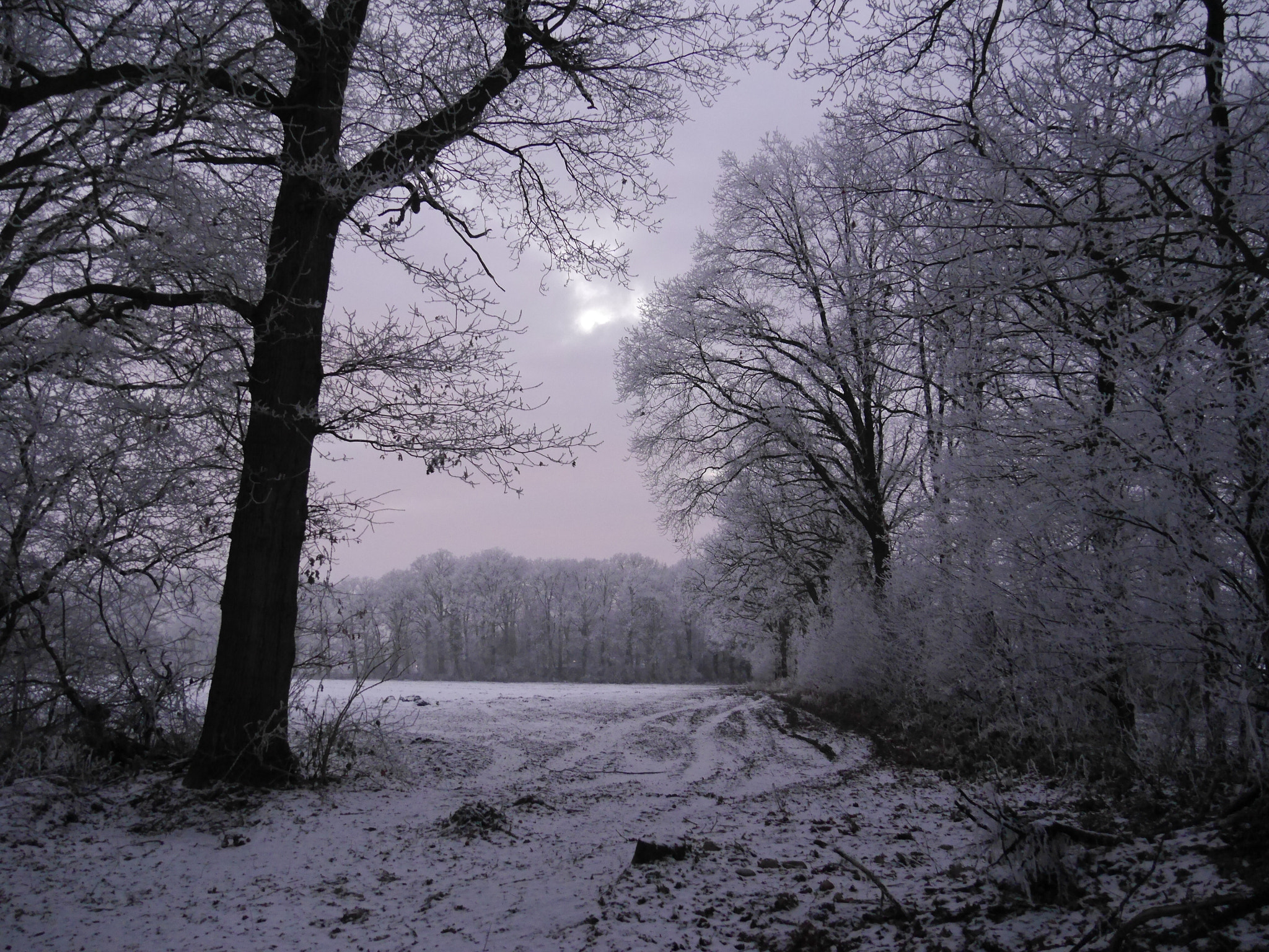 Panasonic Lumix DMC-G6 sample photo. Winter in photography