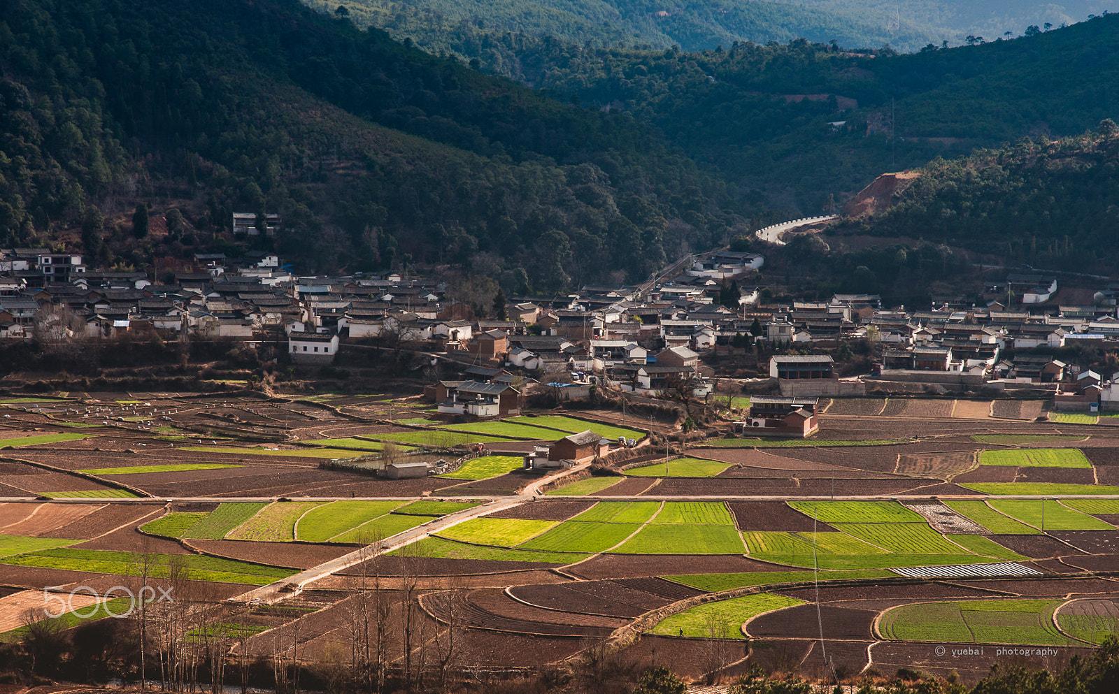 Nikon D90 sample photo. 满园春色 photography