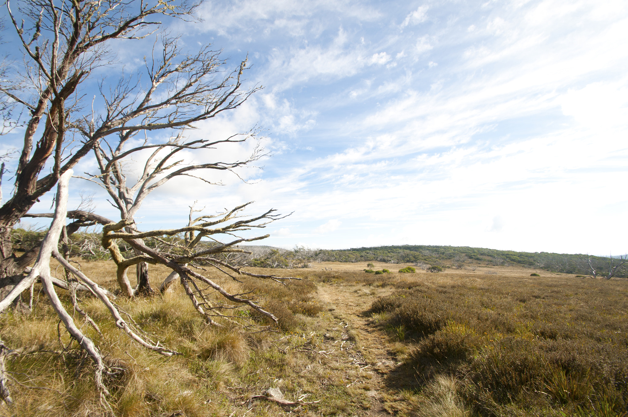Nikon D90 sample photo. On route to the "hidden lake" photography