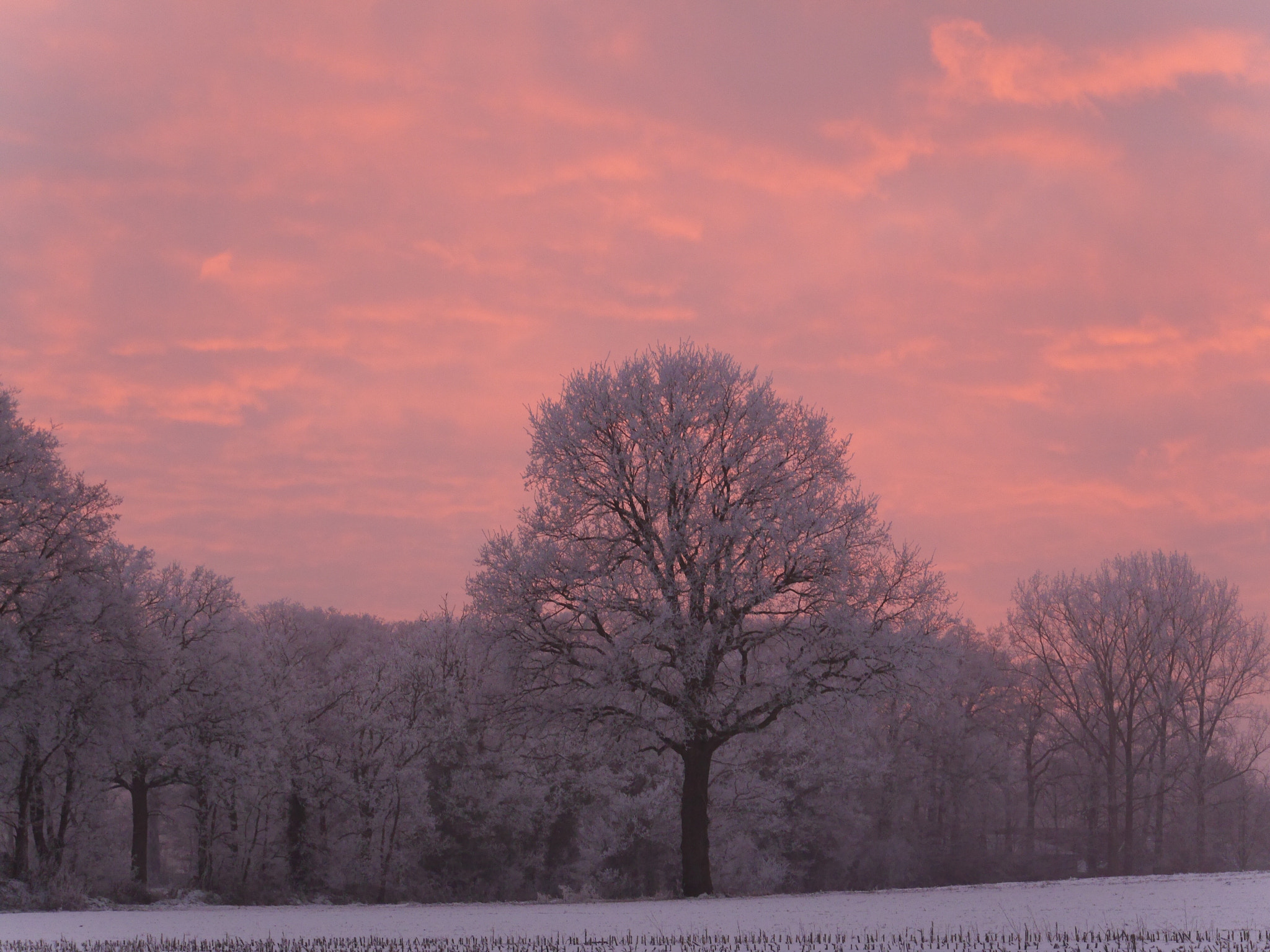 Panasonic Lumix DMC-G6 sample photo. Winter in wilsum duitsland 2017 photography