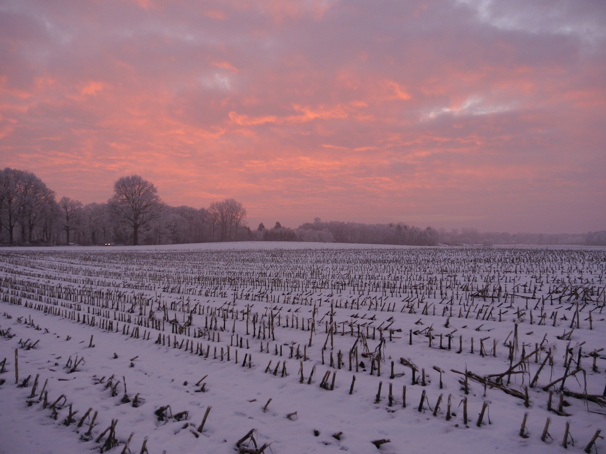 Panasonic Lumix DMC-G6 sample photo. Winter in wilsum duitsland 2017 photography