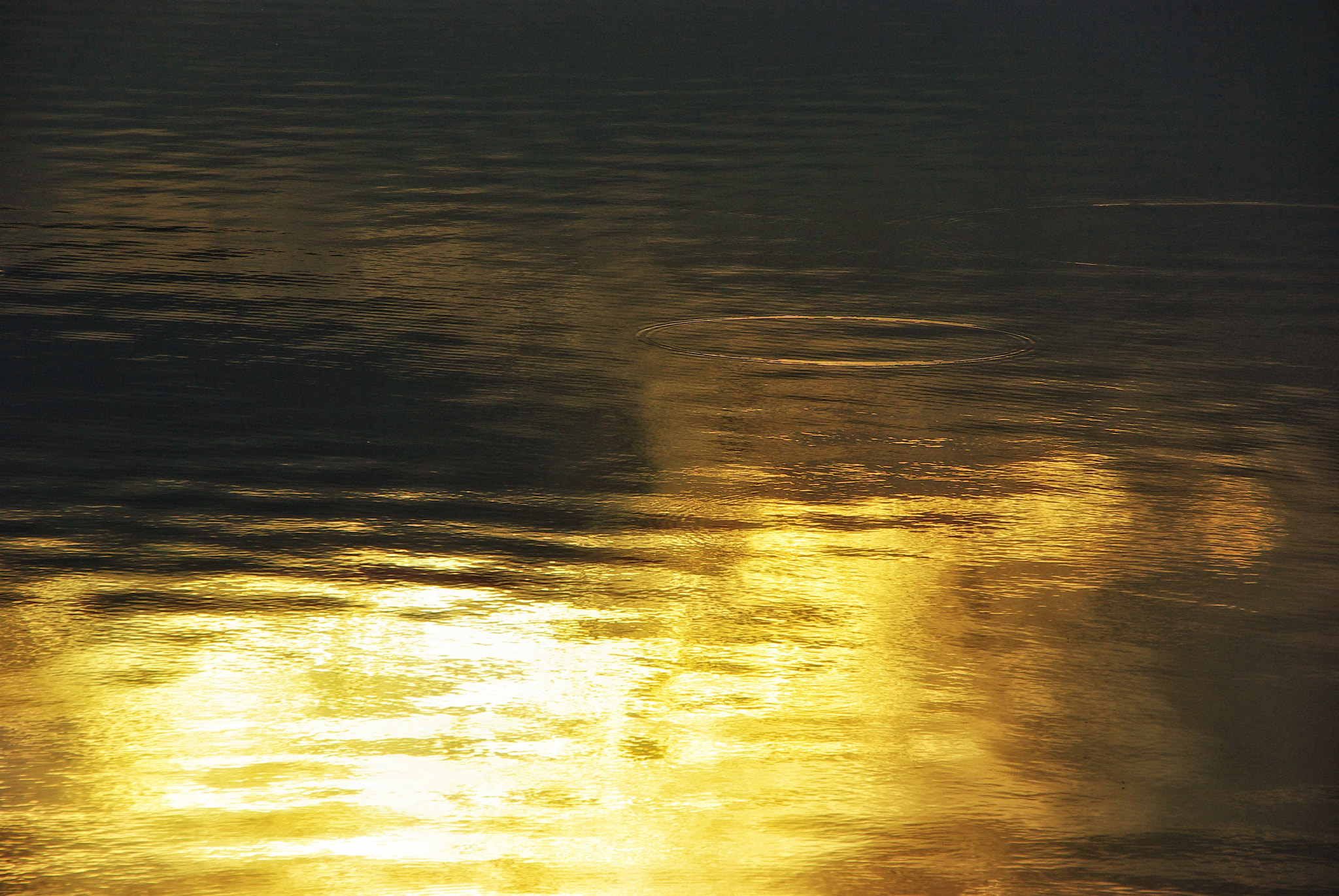 Pentax K10D sample photo. Kushiro waterland,hokkaido japan photography