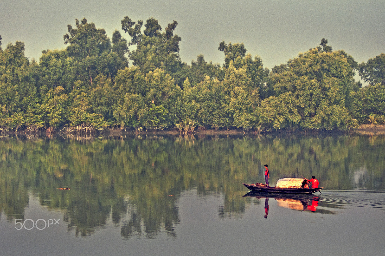 Nikon D90 + Nikon AF-S Nikkor 70-300mm F4.5-5.6G VR sample photo. Sundarban_reflection photography
