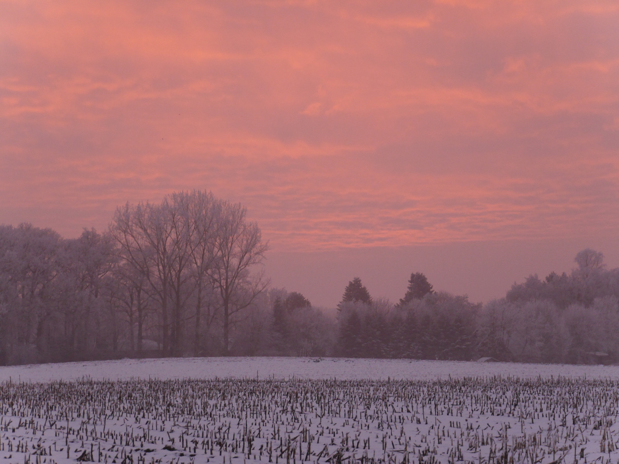 Panasonic Lumix DMC-G6 sample photo. Winter in wilsum duitsland 2017 photography