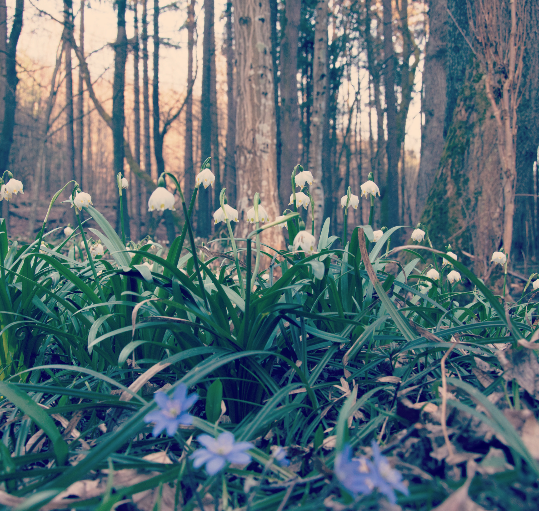 Nikon D5600 sample photo