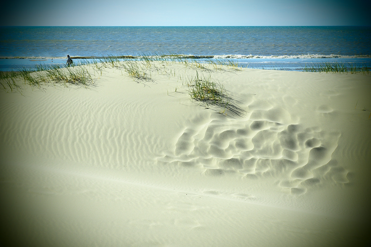 LUMIX G VARIO 12-60/F3.5-5.6 sample photo. Traces in the sand ... photography