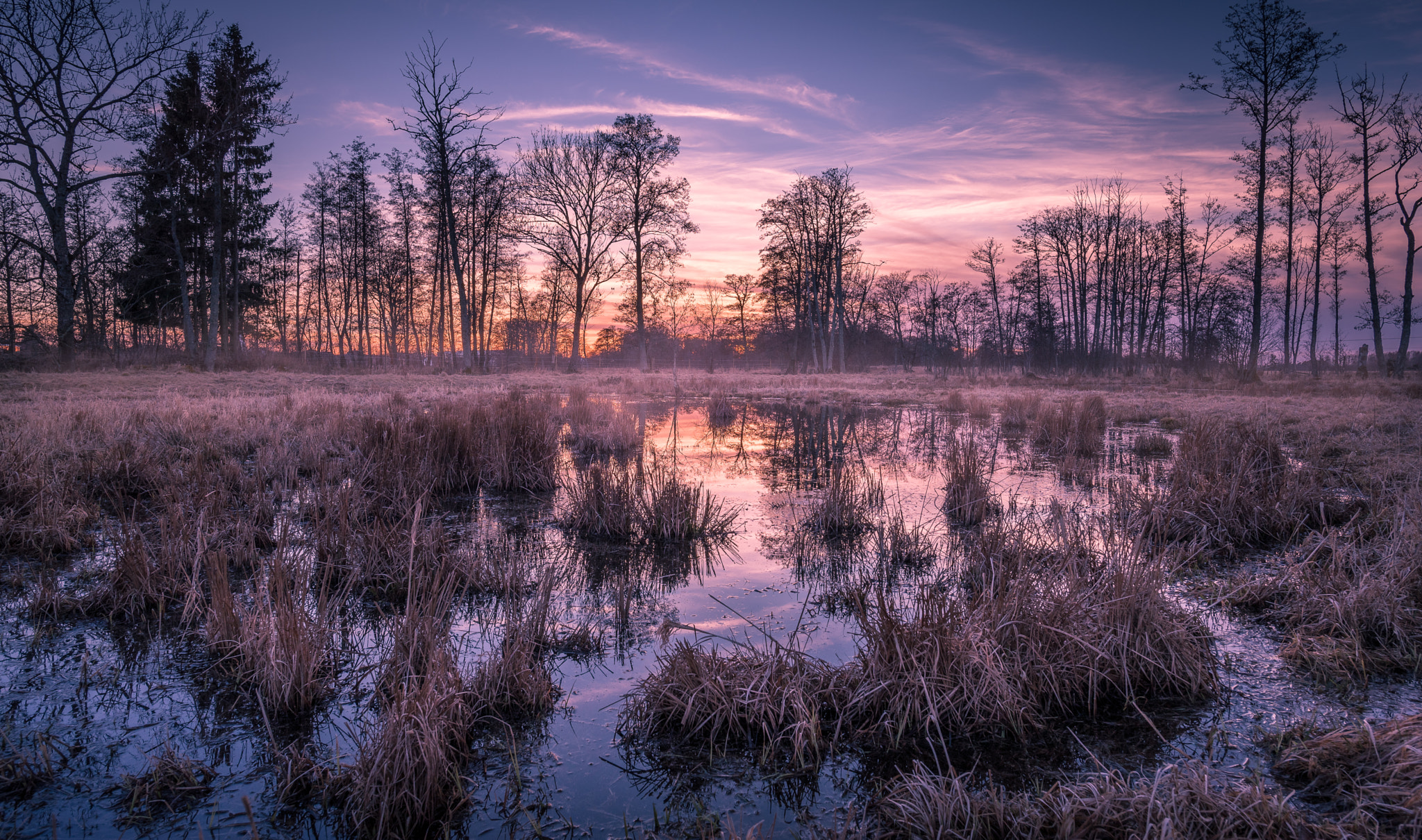 Nikon D750 + Nikon AF-S Nikkor 20mm F1.8G ED sample photo. Wetlands photography