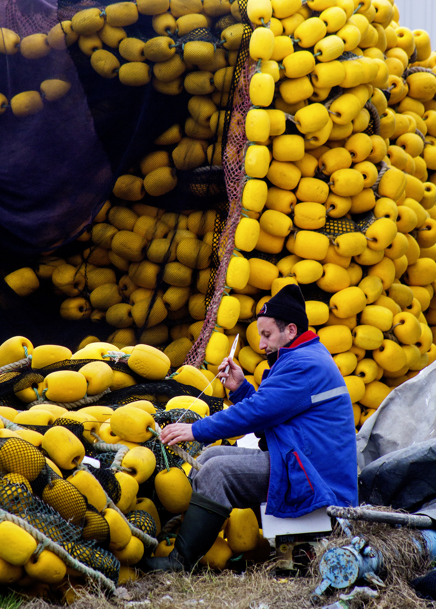 Canon EOS 60D + EF75-300mm f/4-5.6 sample photo. Yellow photography