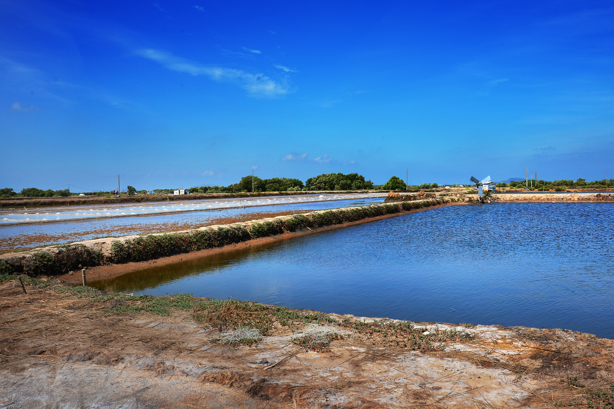 Nikon D600 sample photo. Salt marsh photography