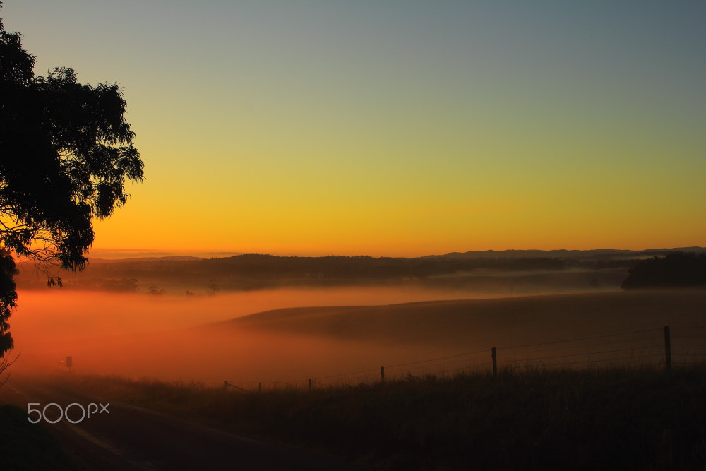Canon EOS 60D sample photo. Valley mist photography