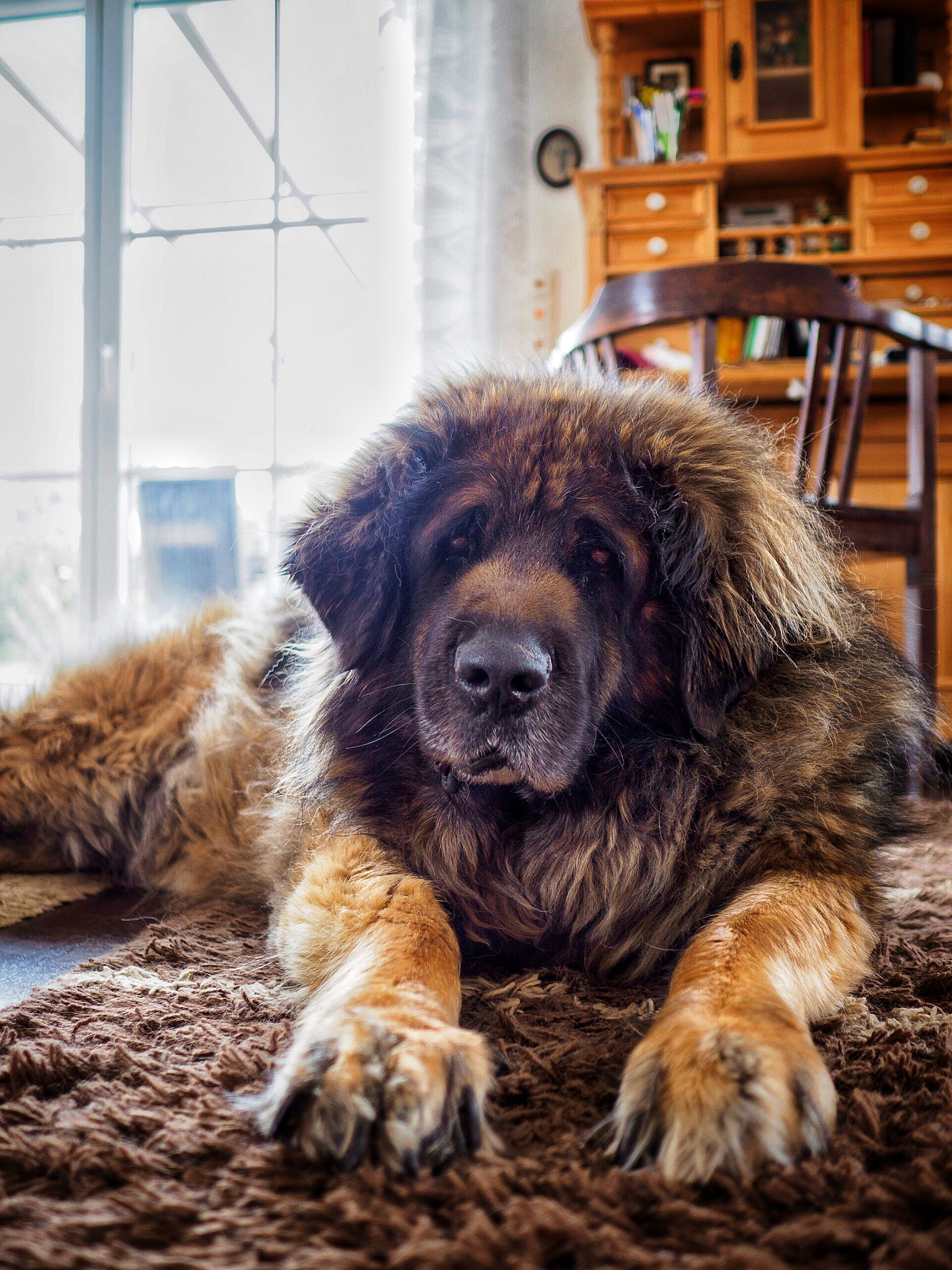 Olympus OM-D E-M1 Mark II + Olympus M.Zuiko Digital 17mm F1.8 sample photo. Bärbel's waiting for eastern photography