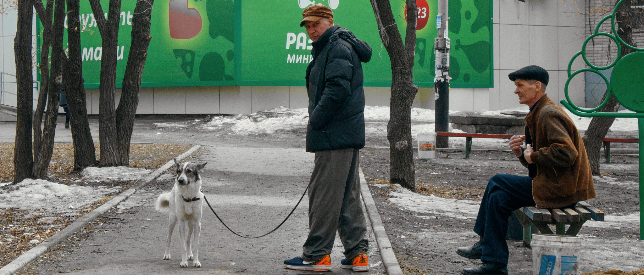 Nikon 1 J5 sample photo. На прогулочке photography