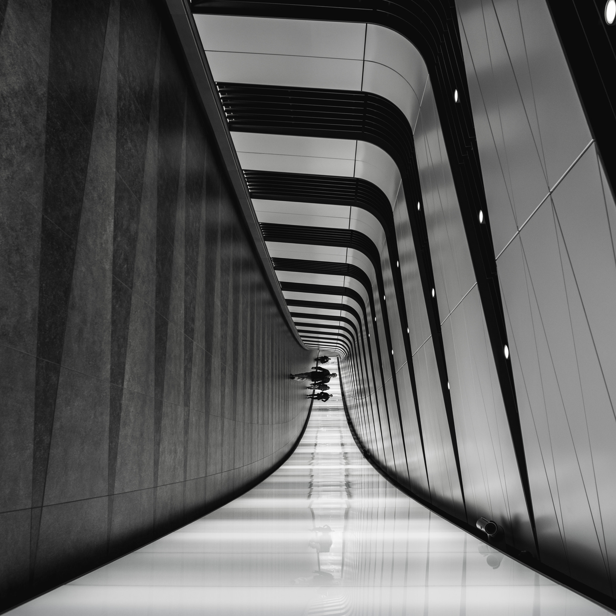 Canon EF 24mm F1.4L II USM sample photo. Take the road less travelled photography