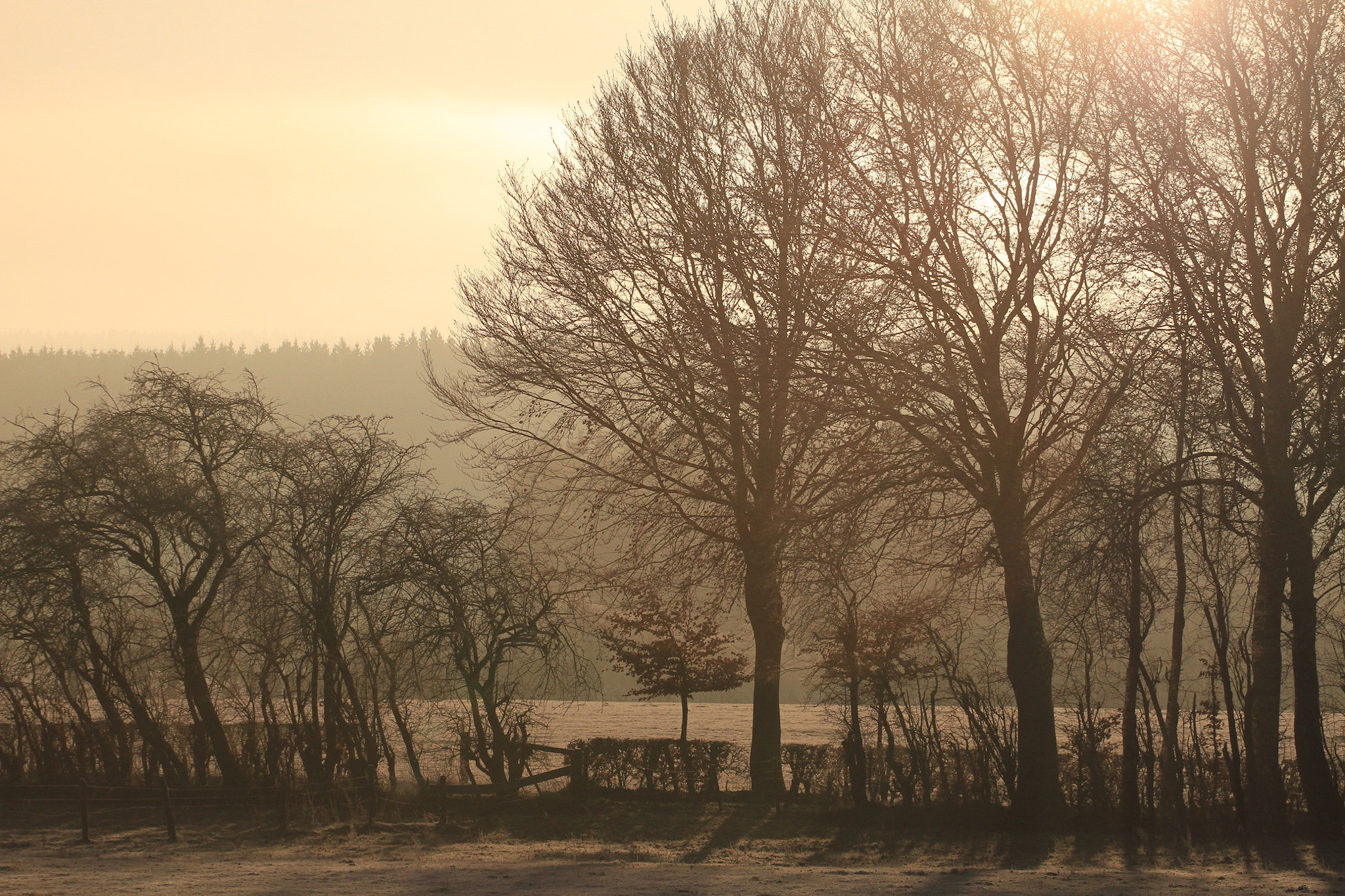 Canon EOS 7D + Canon EF 70-200mm F4L USM sample photo. The morning photography