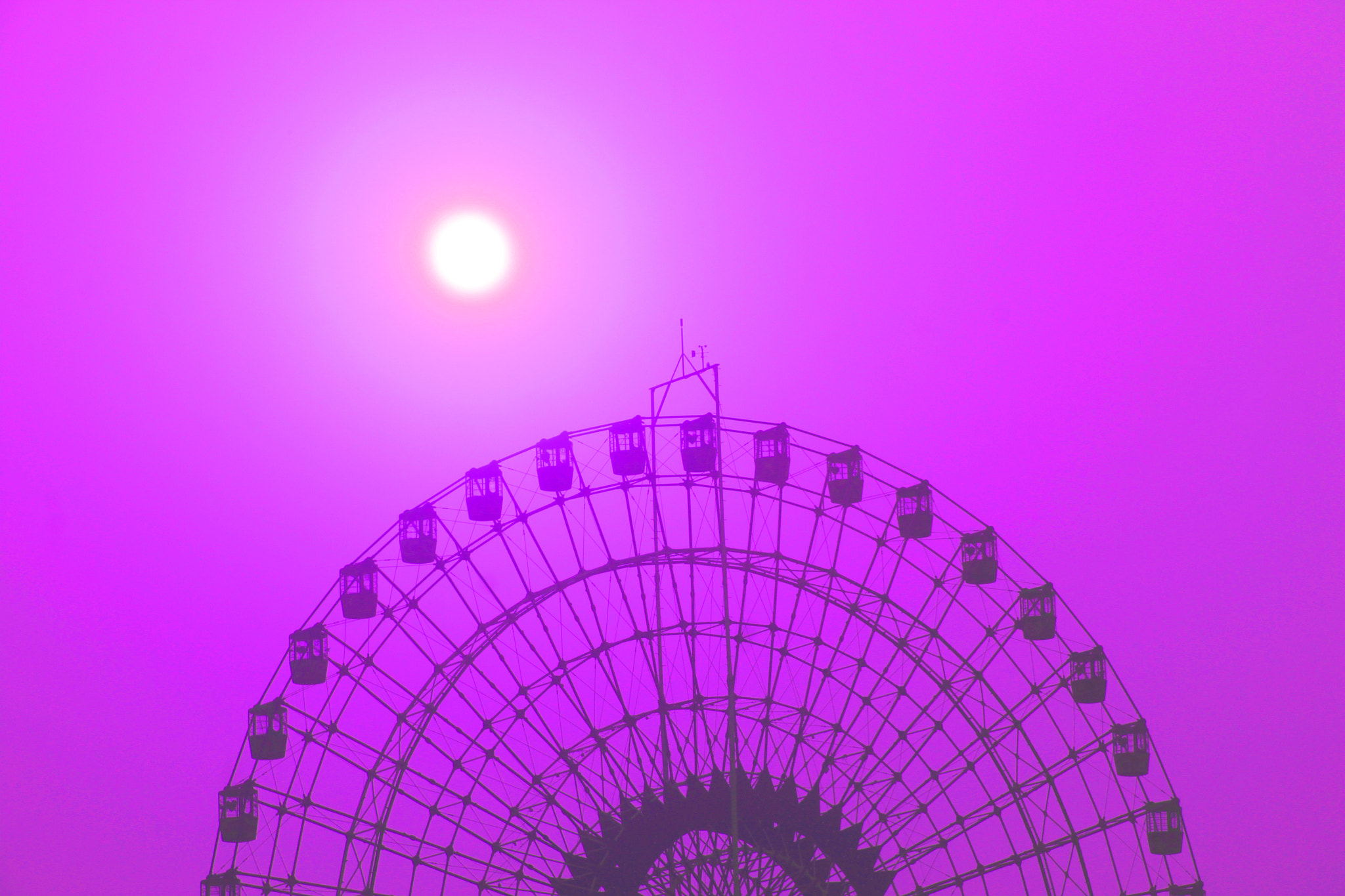 Canon EF-S 18-200mm F3.5-5.6 IS sample photo. Purple afternoon photography