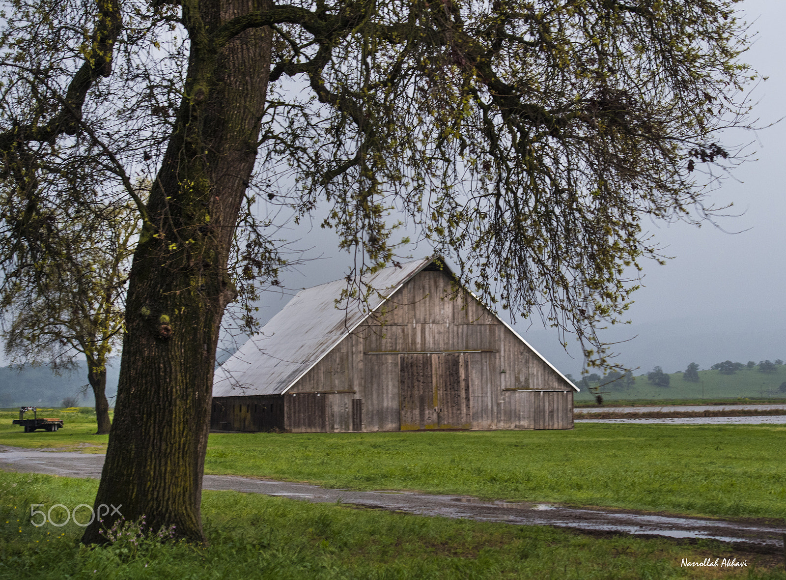 Nikon D5 sample photo. Barn photography