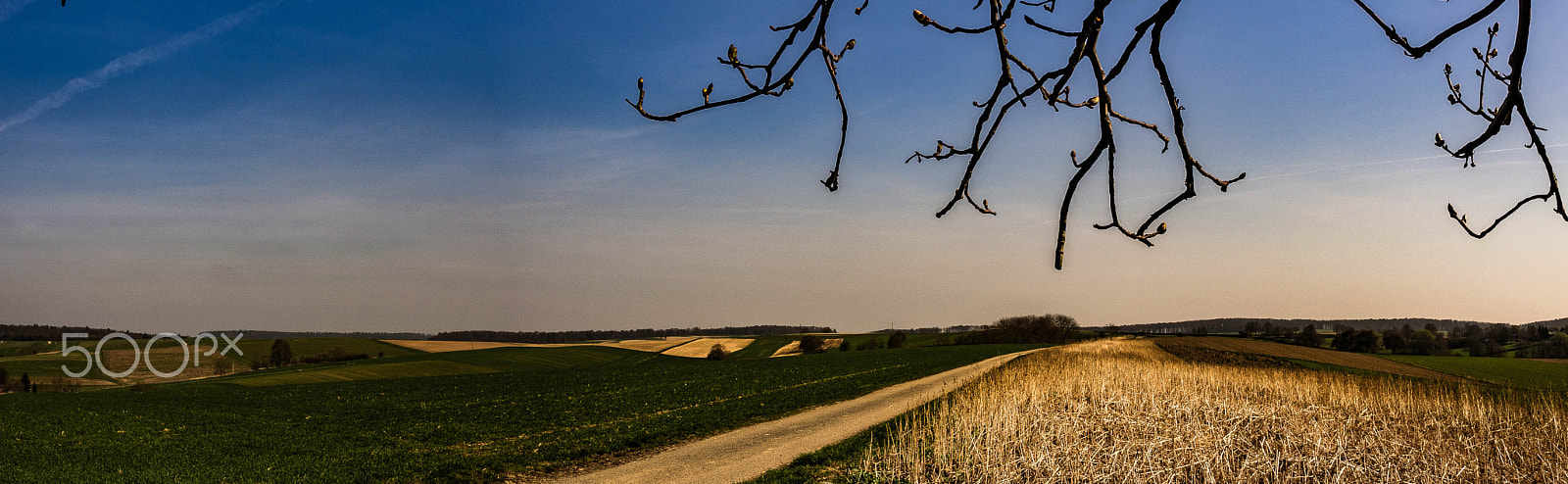 Olympus OM-D E-M5 + Olympus M.Zuiko Digital ED 12-40mm F2.8 Pro sample photo. Kraichgau panorama photography