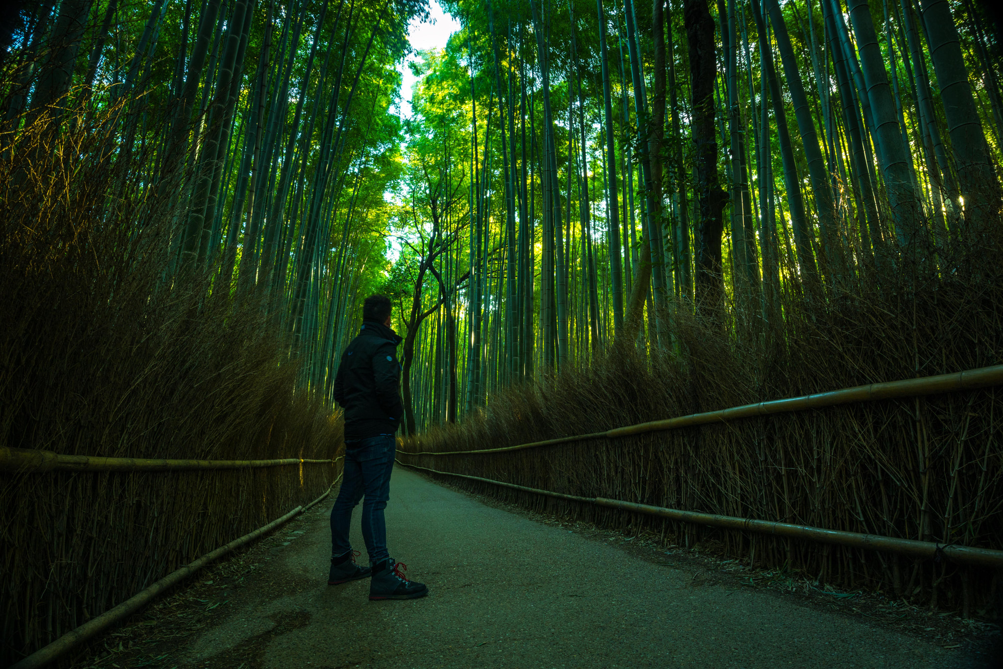 Canon EF-M 11-22mm F4-5.6 IS STM sample photo. Stay the path photography