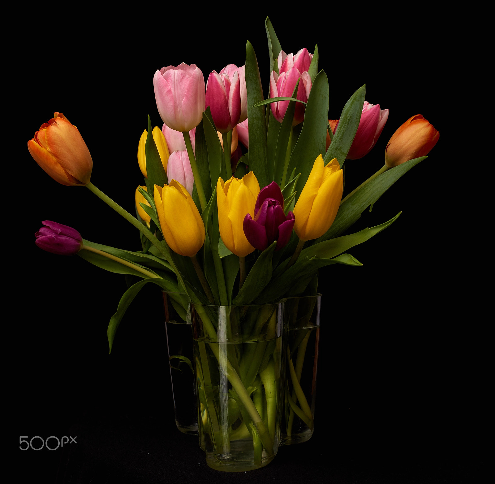 Sony a99 II sample photo. Flowers for mothers photography