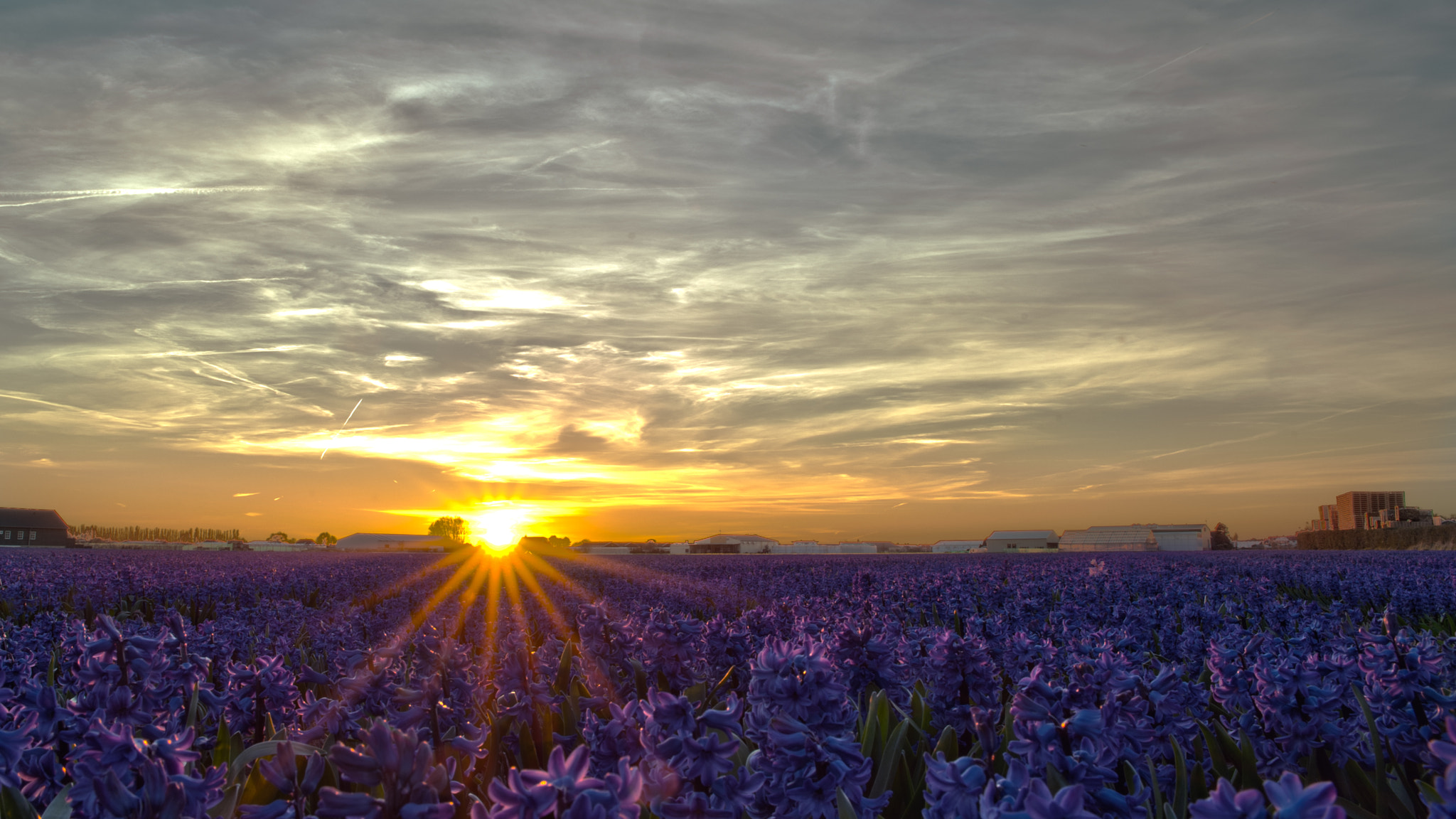 Nikon D700 + Sigma 24-70mm F2.8 EX DG HSM sample photo. Sunset photography