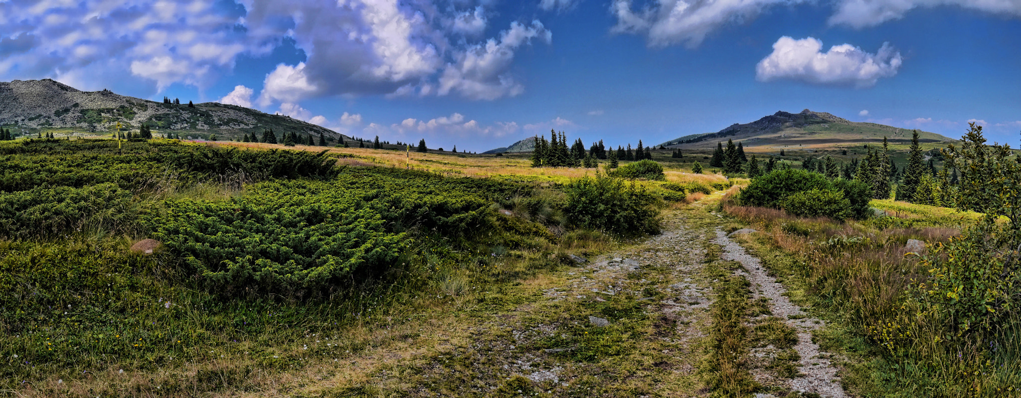 Panasonic Lumix DMC-GX7 sample photo. Torfeno mountain path photography