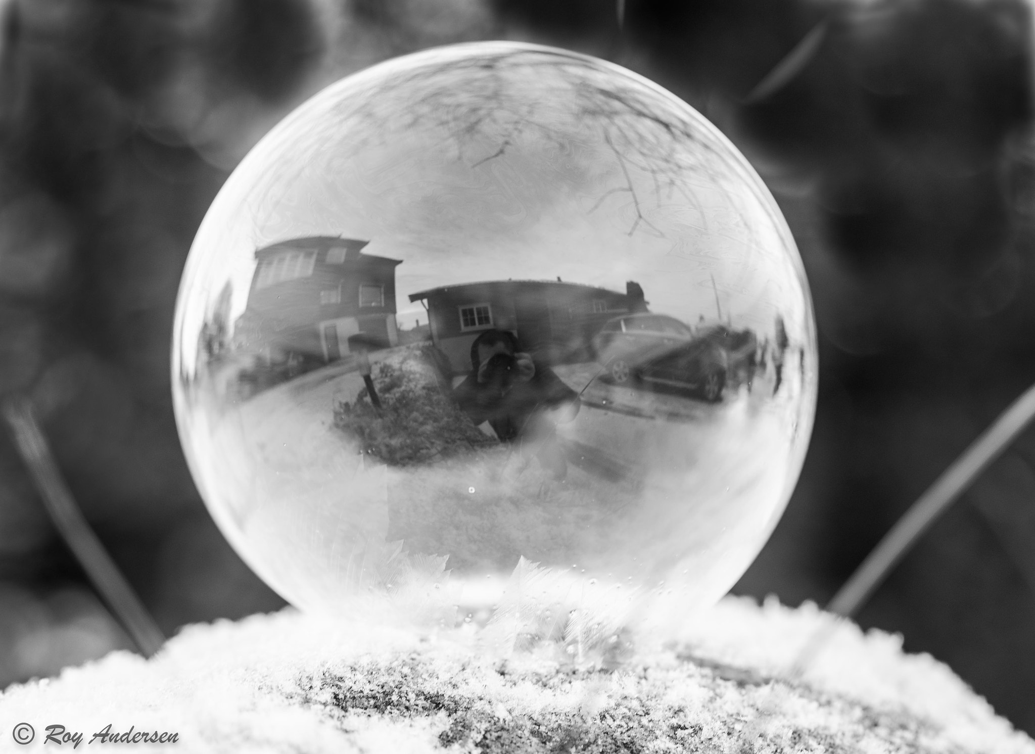 Nikon D750 sample photo. Frozen selfie bubble photography