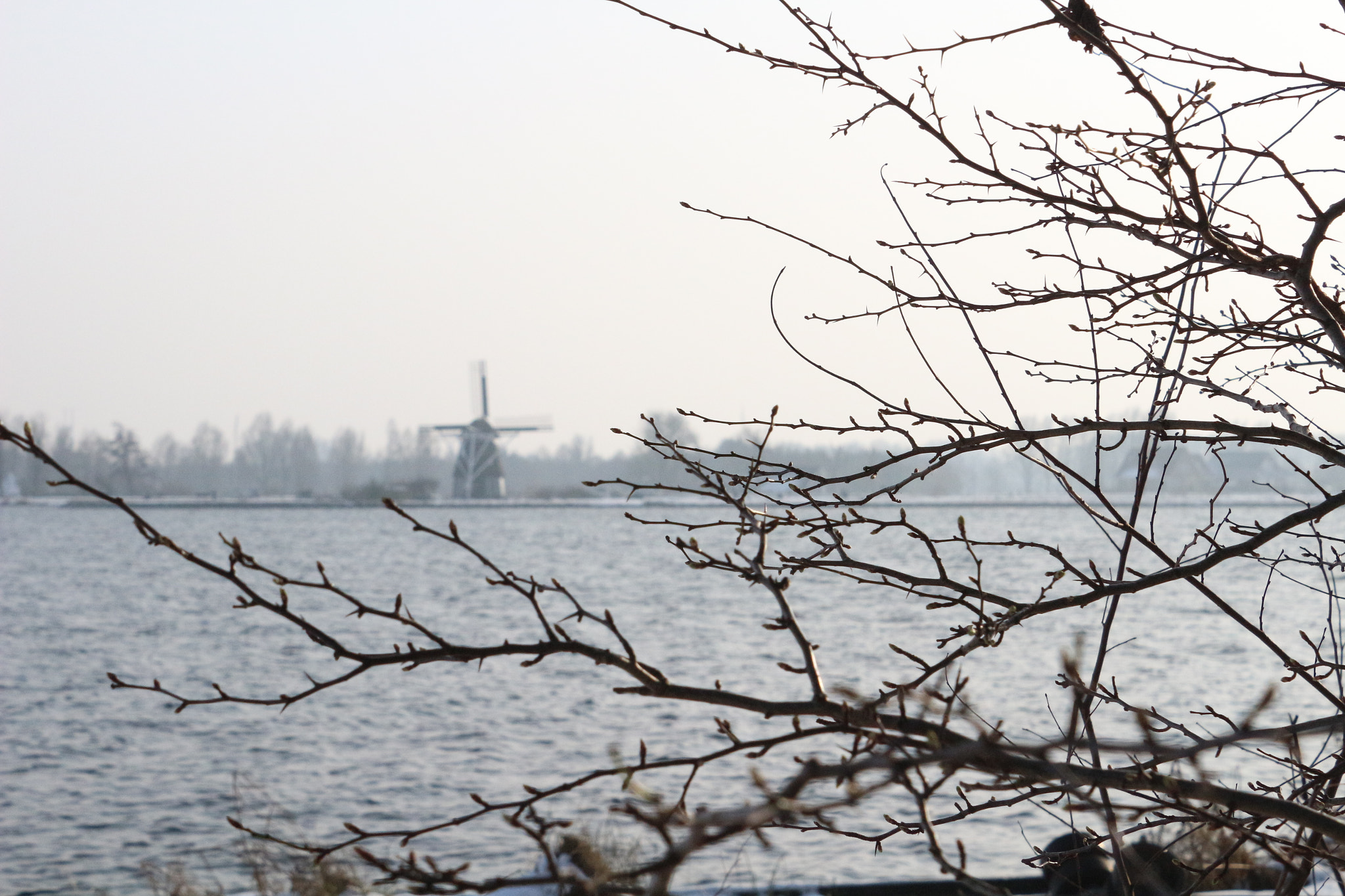 Canon EOS 100D (EOS Rebel SL1 / EOS Kiss X7) sample photo. Winter photography
