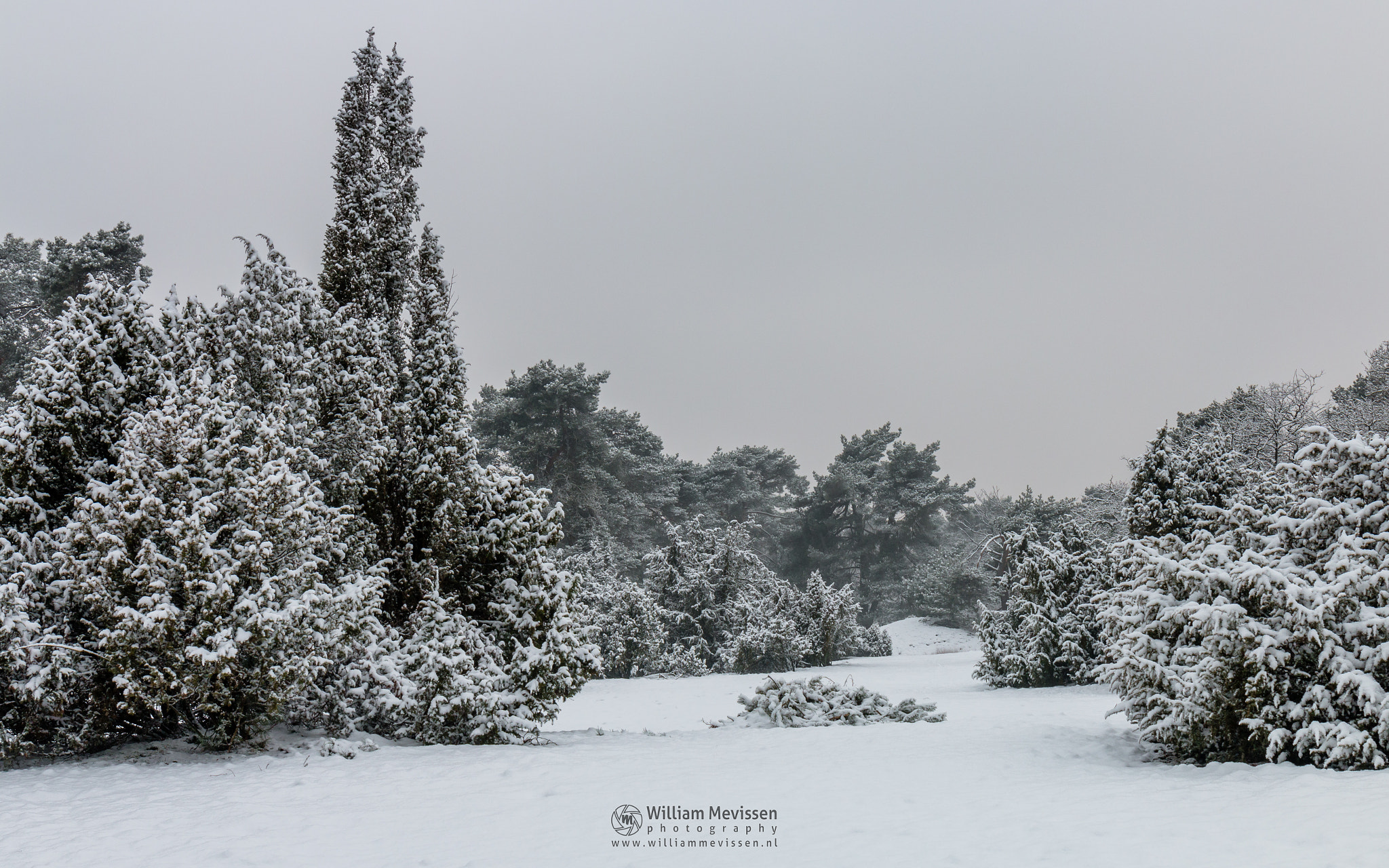 Canon EOS 70D sample photo. White winter morning photography