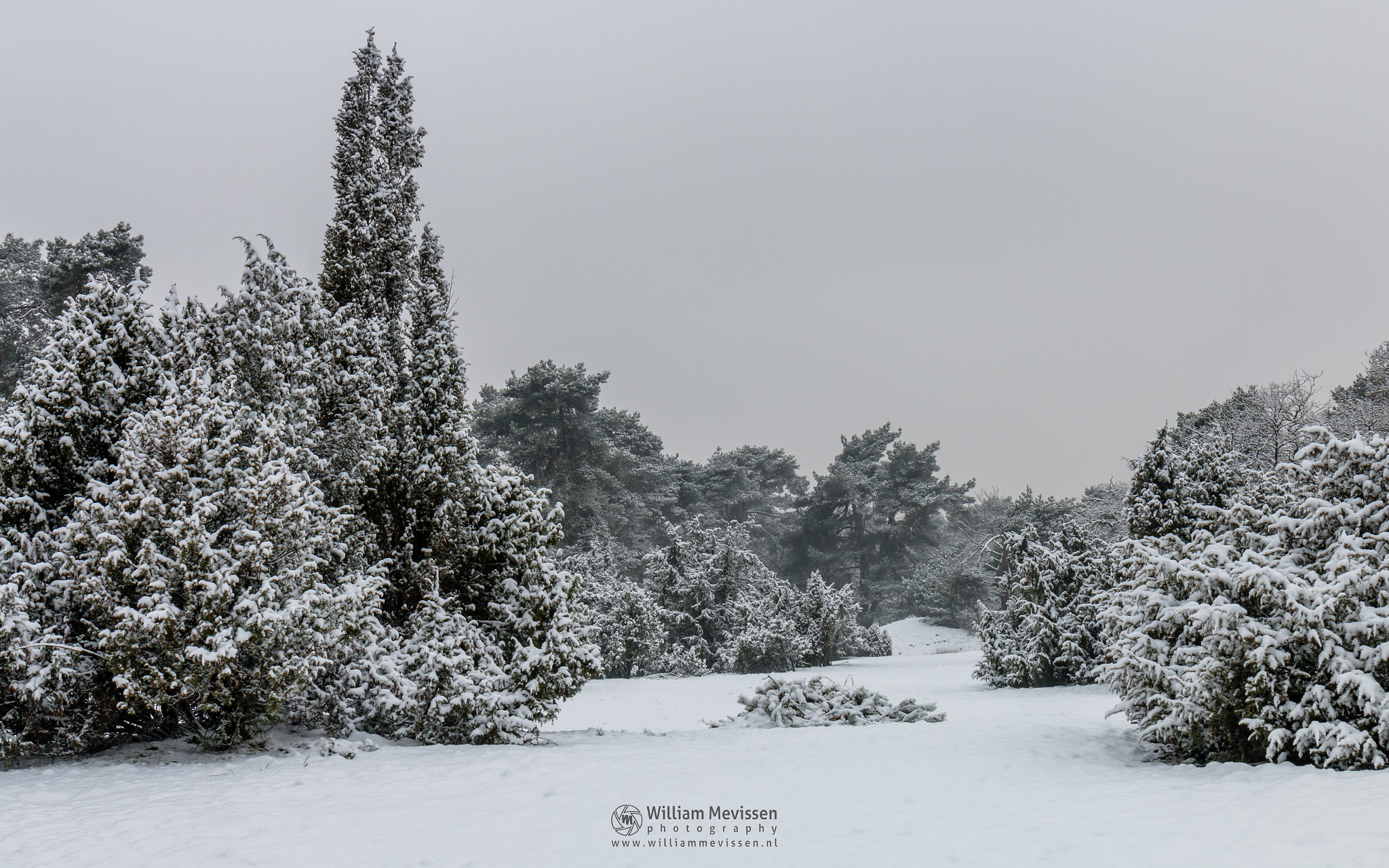 Canon EF 24-70mm F4L IS USM sample photo. White winter morning photography