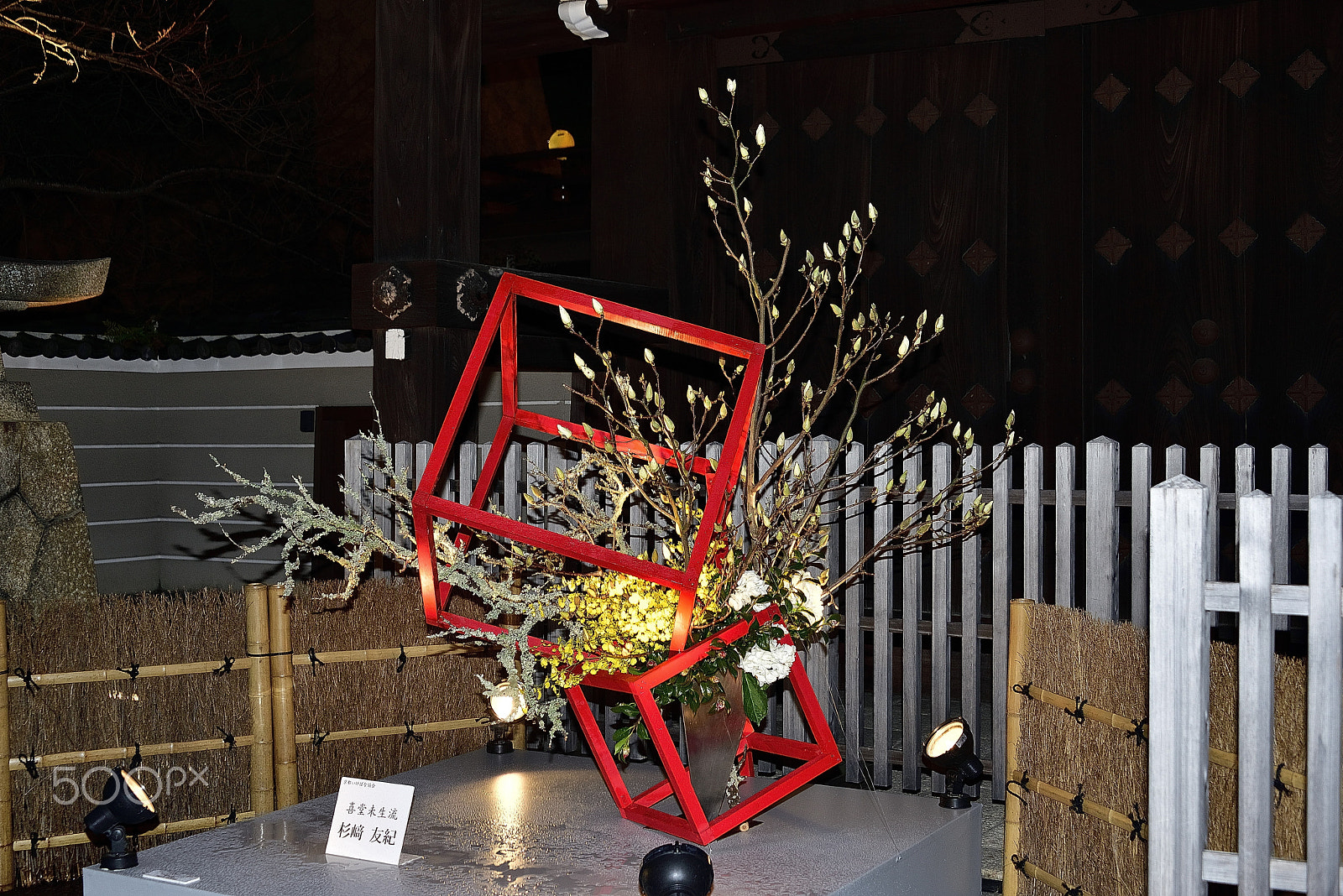 Nikon D800E sample photo. Flower arrangement～京都花灯路～ photography