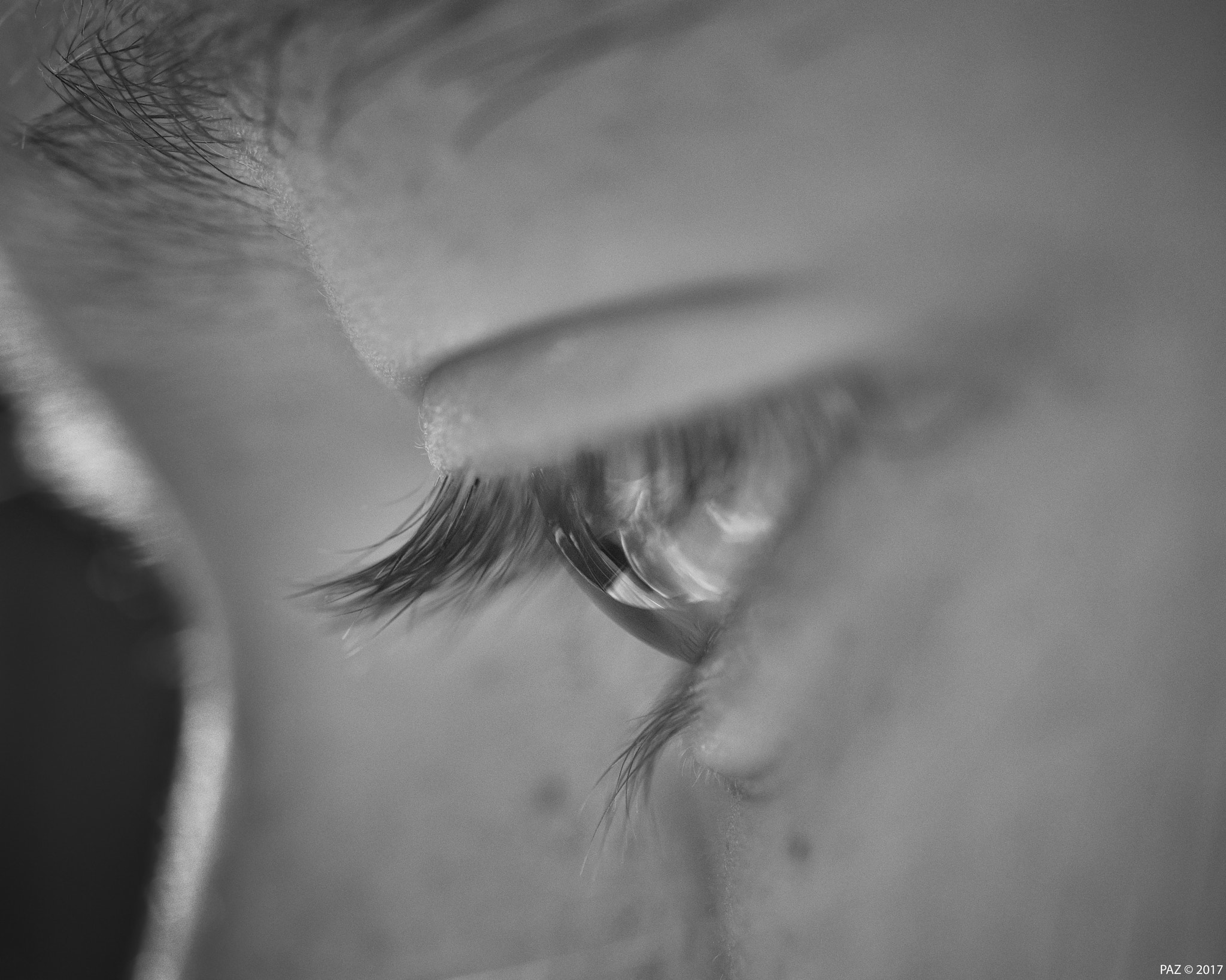 Olympus OM-D E-M10 II sample photo. Eye photography